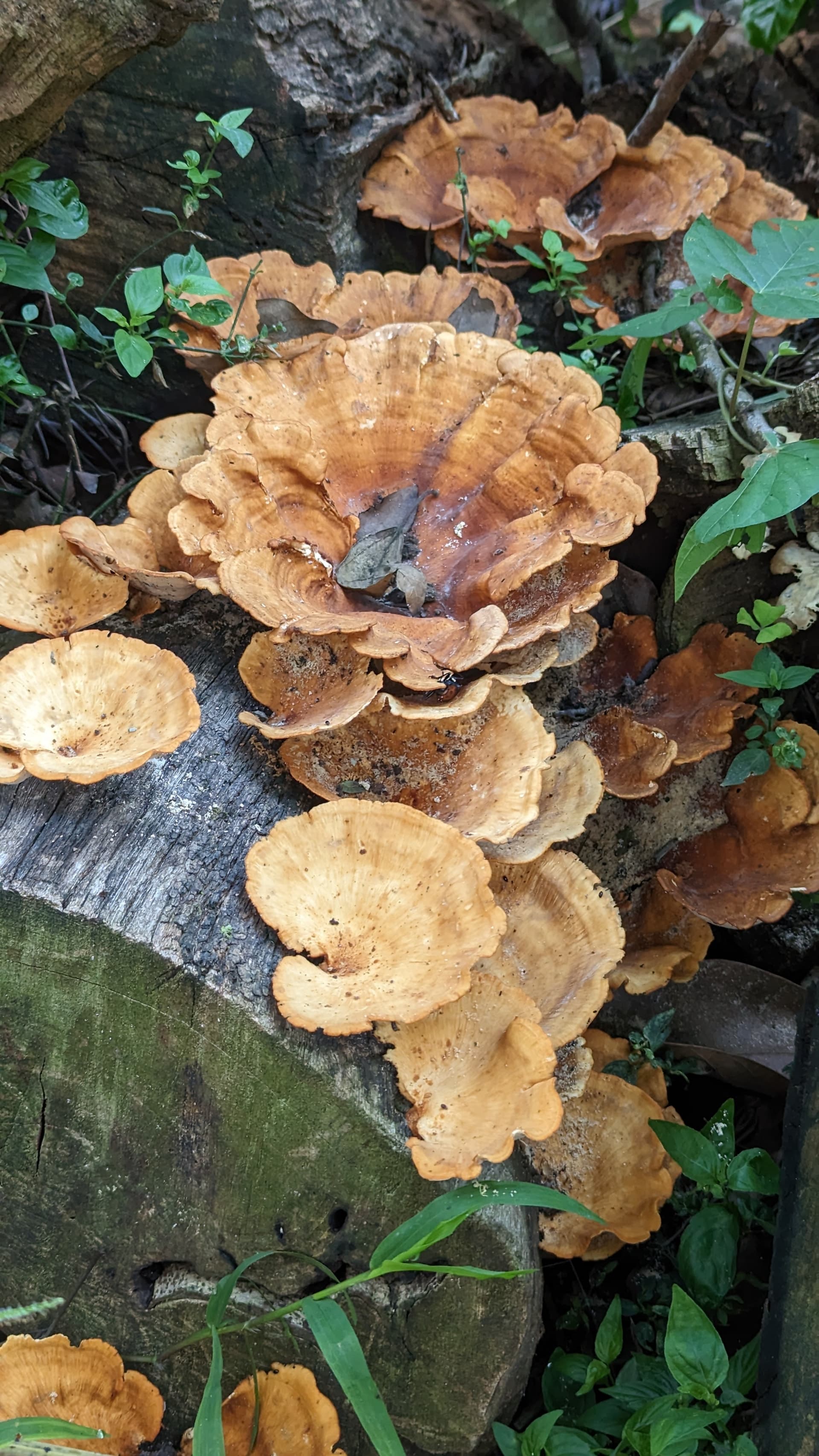 Google Pixel 7 — 7mm • ƒ/1.9 • 1/203 • ISO 146