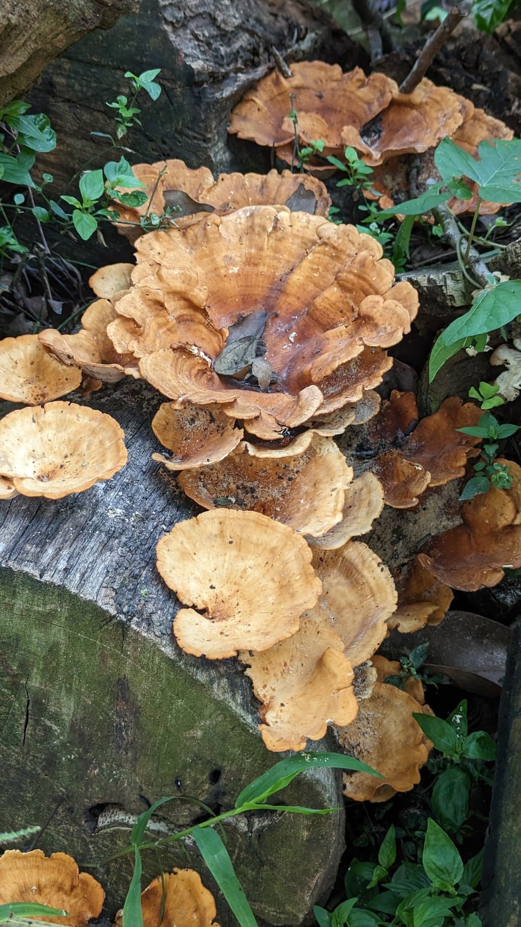 Google Pixel 7 — 7mm • ƒ/1.9 • 1/203 • ISO 146