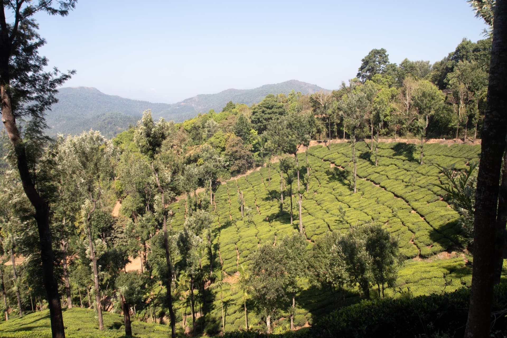 Canon Canon EOS 77D — 17mm • ƒ/11.0 • 1/50 • ISO 100