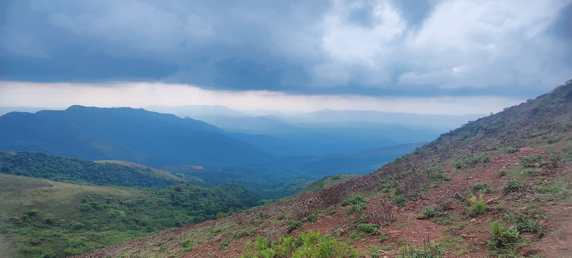 OnePlus IN2011 — 2mm • ƒ/2.2 • 1/817 • ISO 100