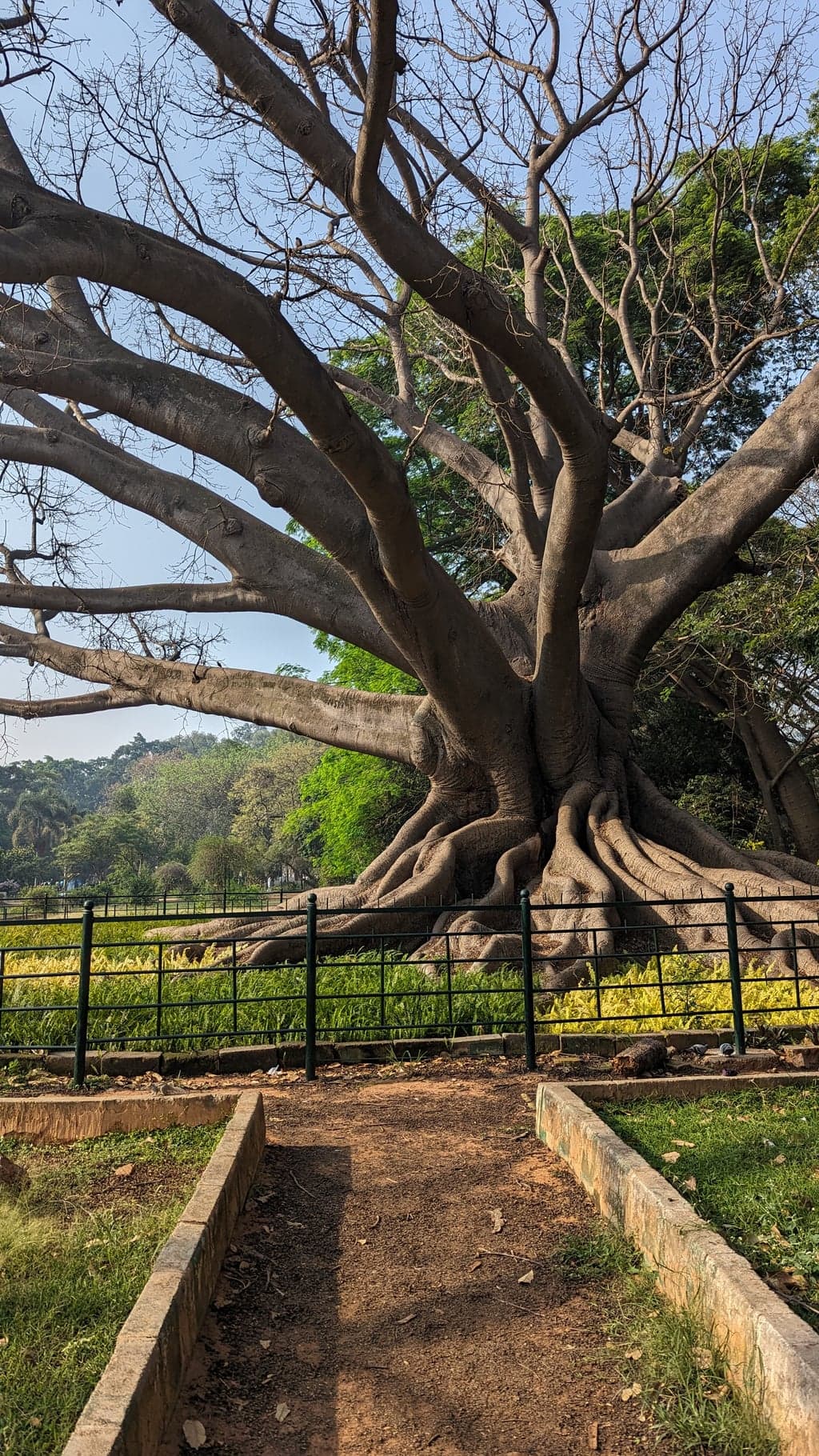 Google Pixel 7 — 7mm • ƒ/1.9 • 1/1508 • ISO 44