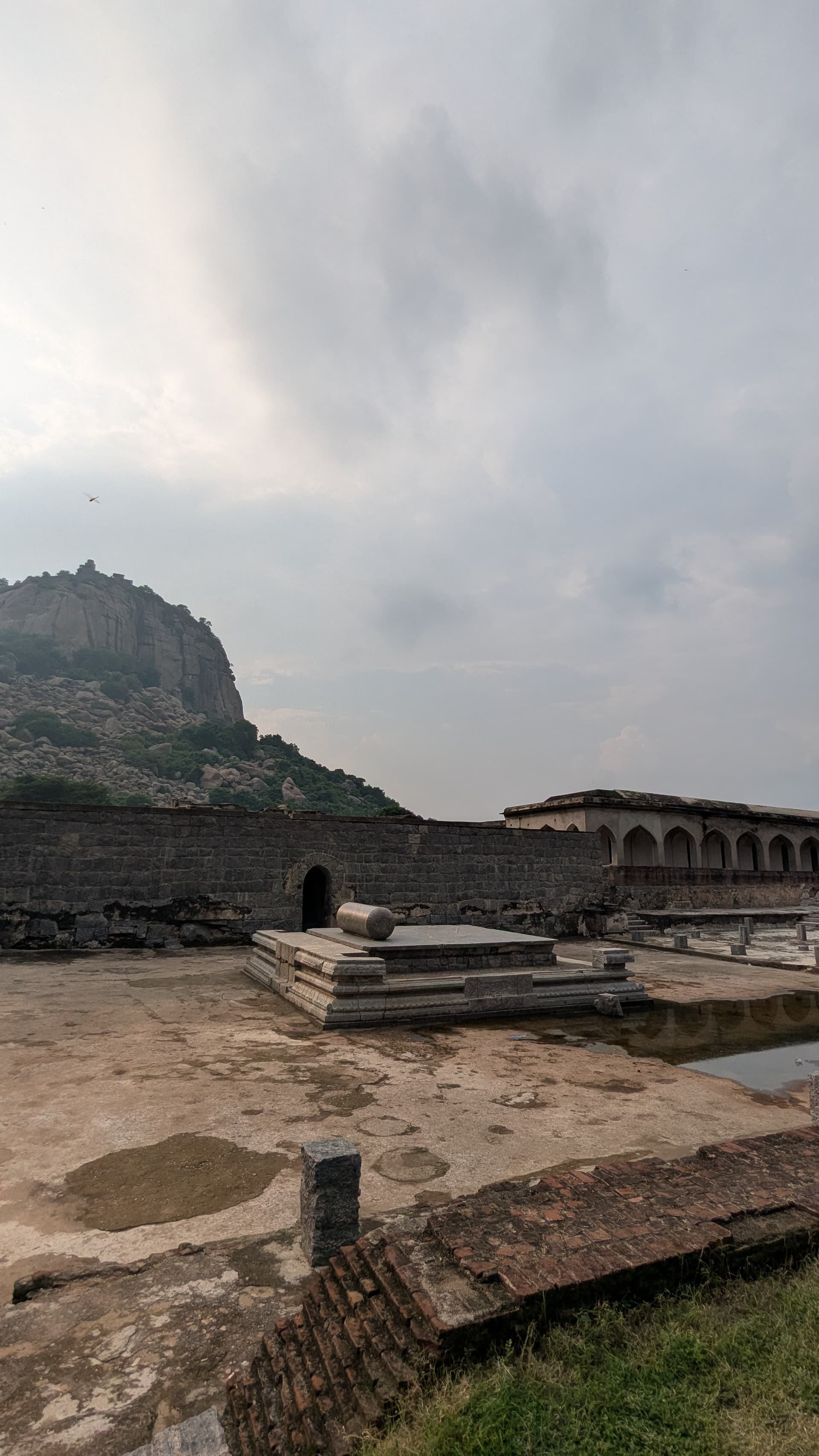 Google Pixel 7 β 2mm β’ Ζ/2.2 β’ 1/3876 β’ ISO 53