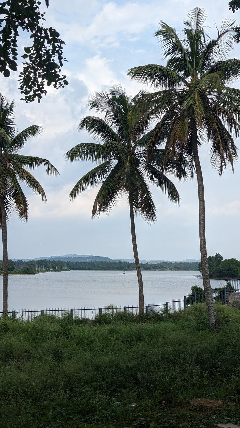 Hoysaleswara Temple Complex: Twin Shrines Overview