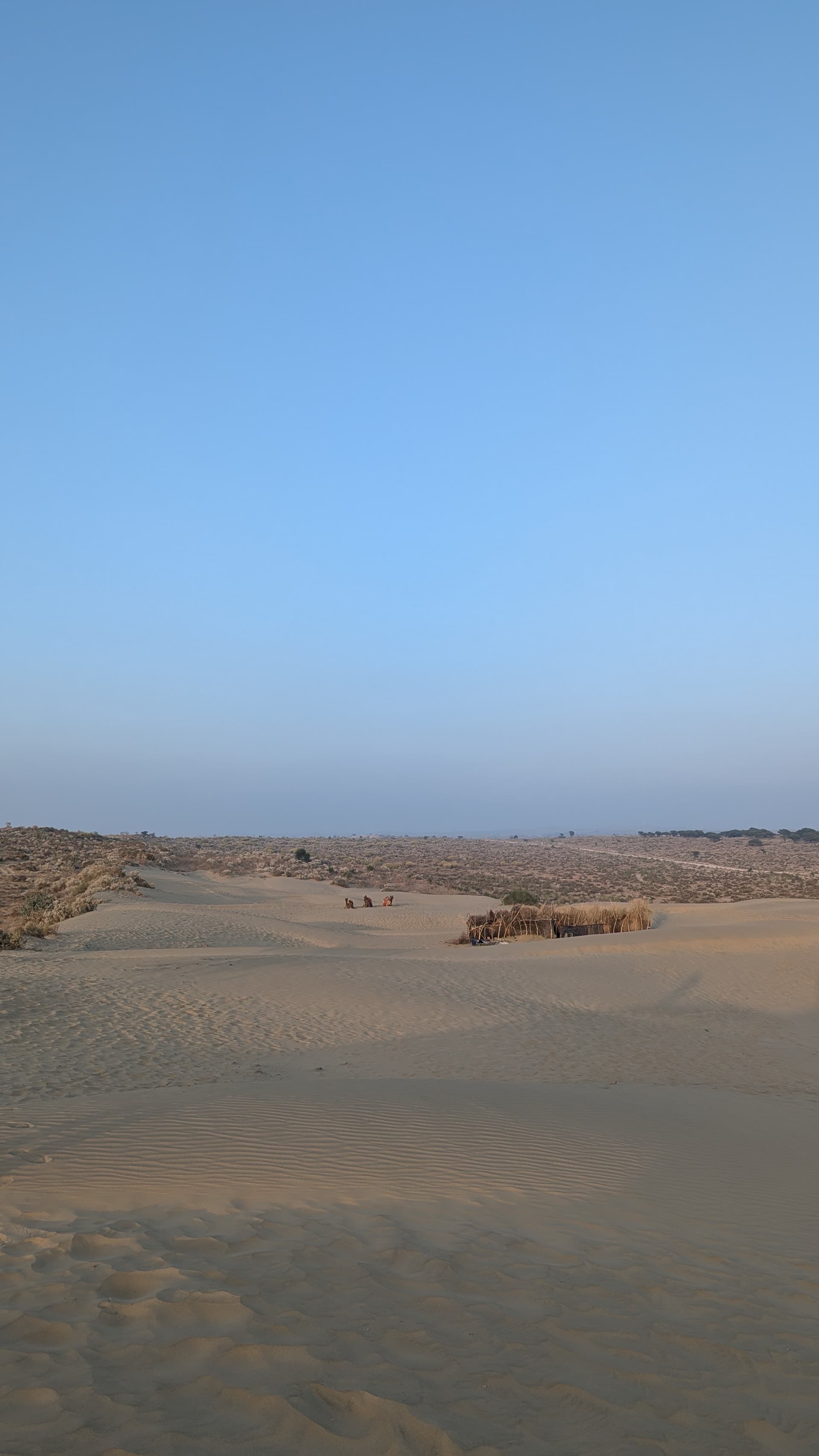 Google Pixel 7 — 7mm • ƒ/1.9 • 1/775 • ISO 53