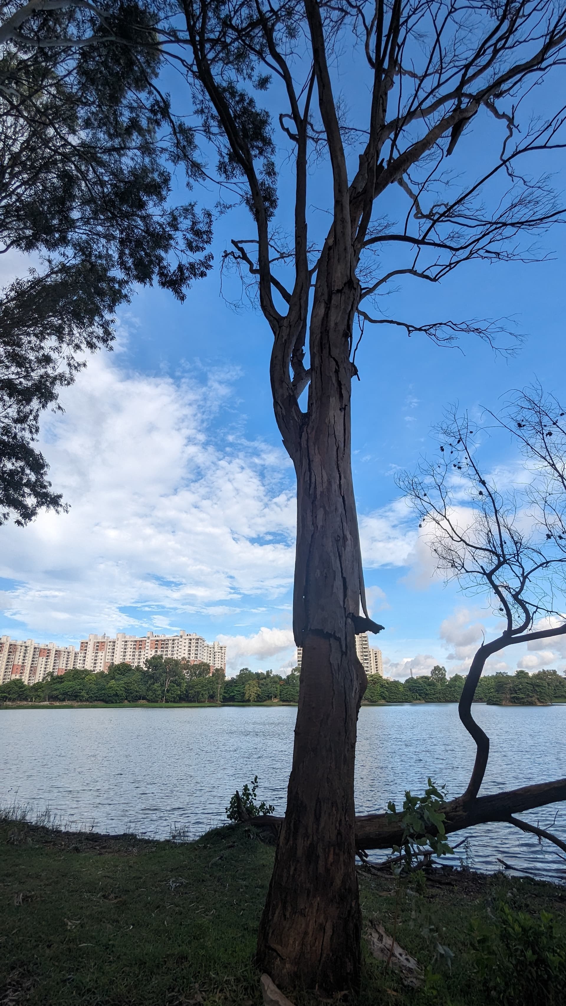 Google Pixel 7 — 2mm • ƒ/2.2 • 1/1091 • ISO 51