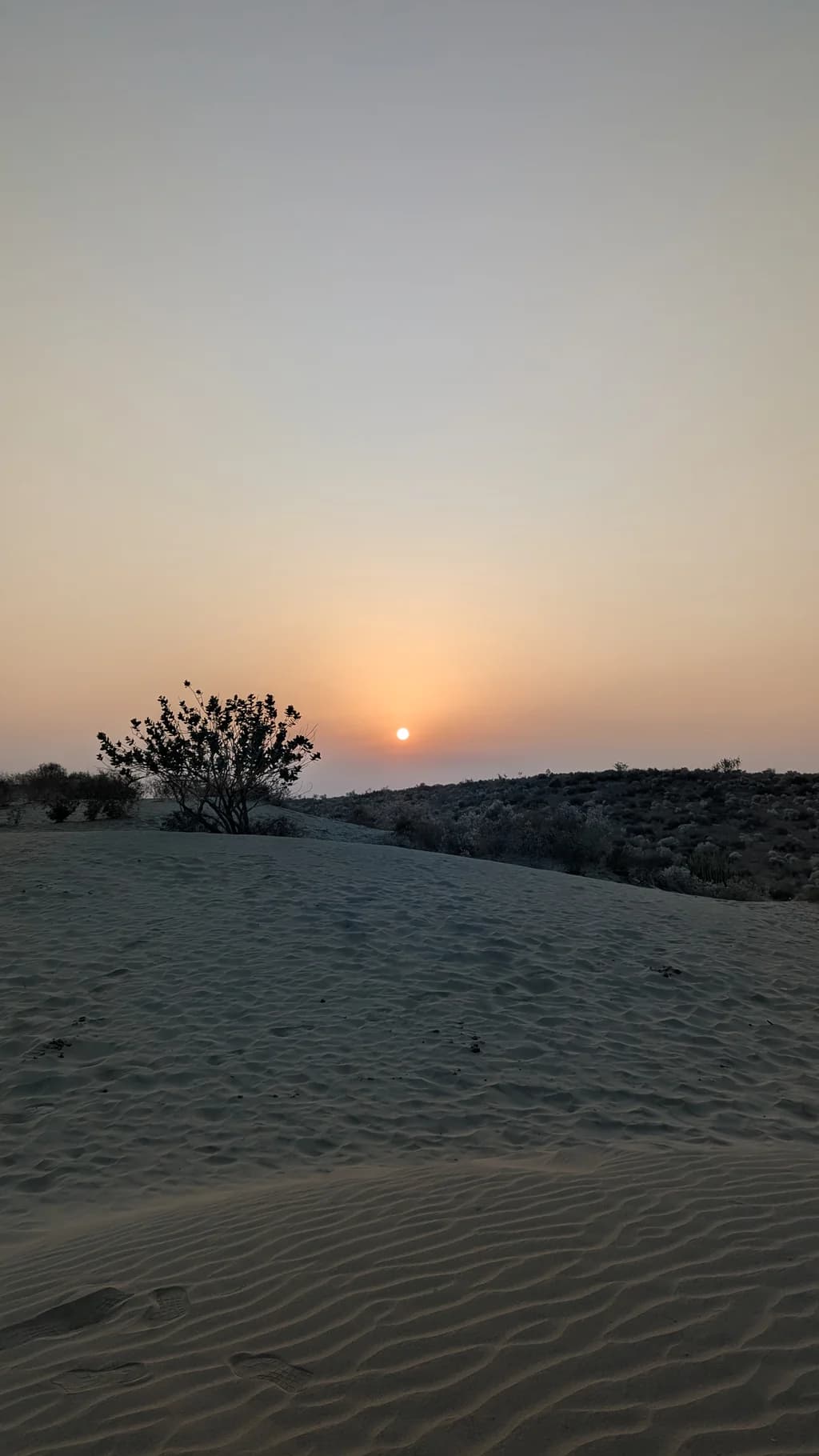 The Elusive Thar at Khuri: Silence, Sand, and Sky