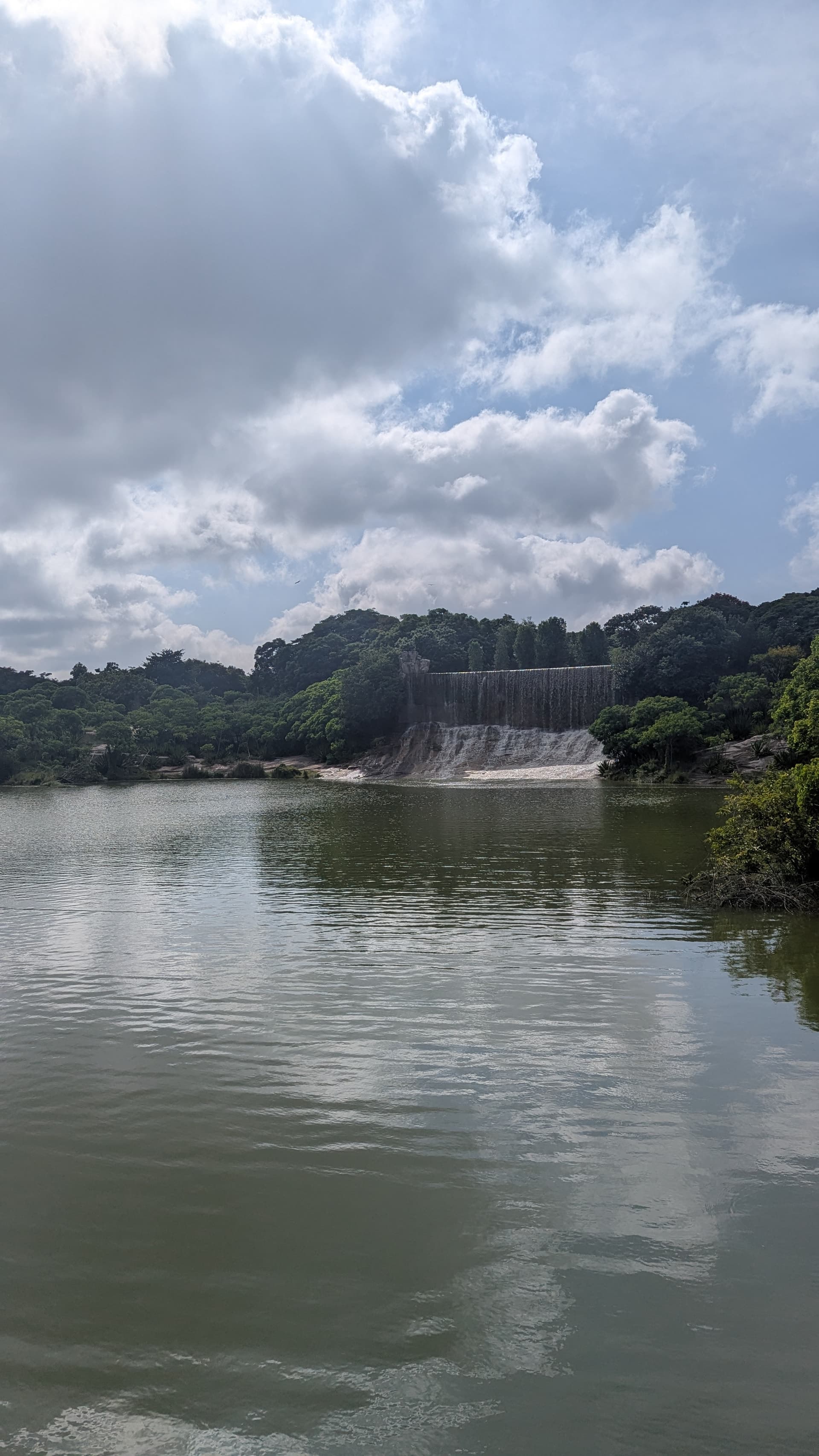 Google Pixel 7 — 7mm • ƒ/1.9 • 1/6667 • ISO 39