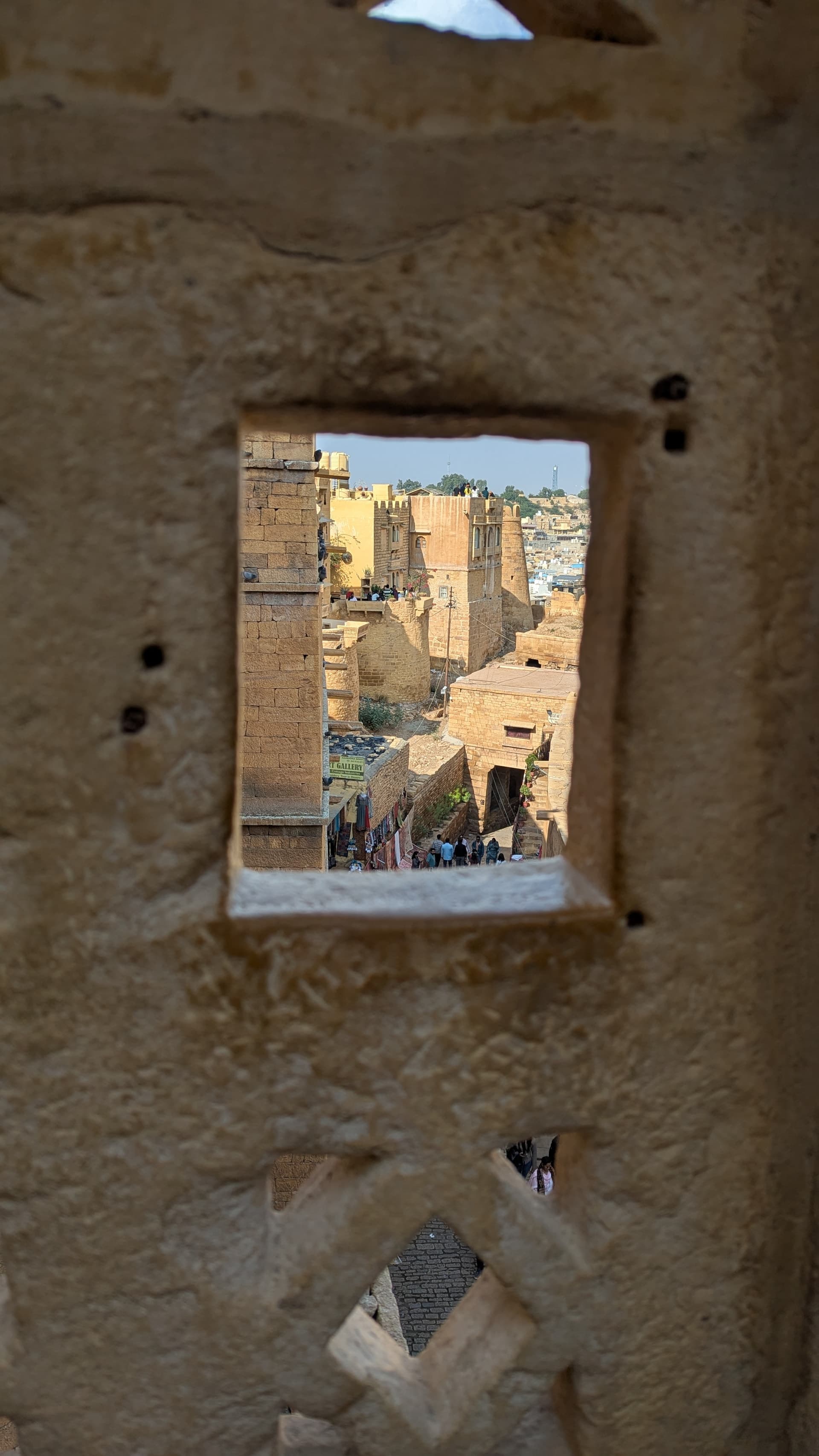 Google Pixel 7 — 7mm • ƒ/1.9 • 1/1715 • ISO 43