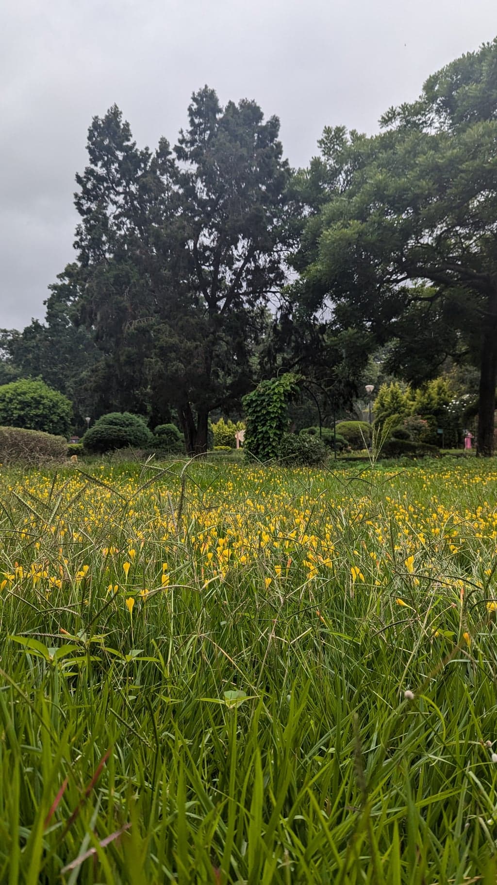 Google Pixel 7 — 7mm • ƒ/1.9 • 1/590 • ISO 45