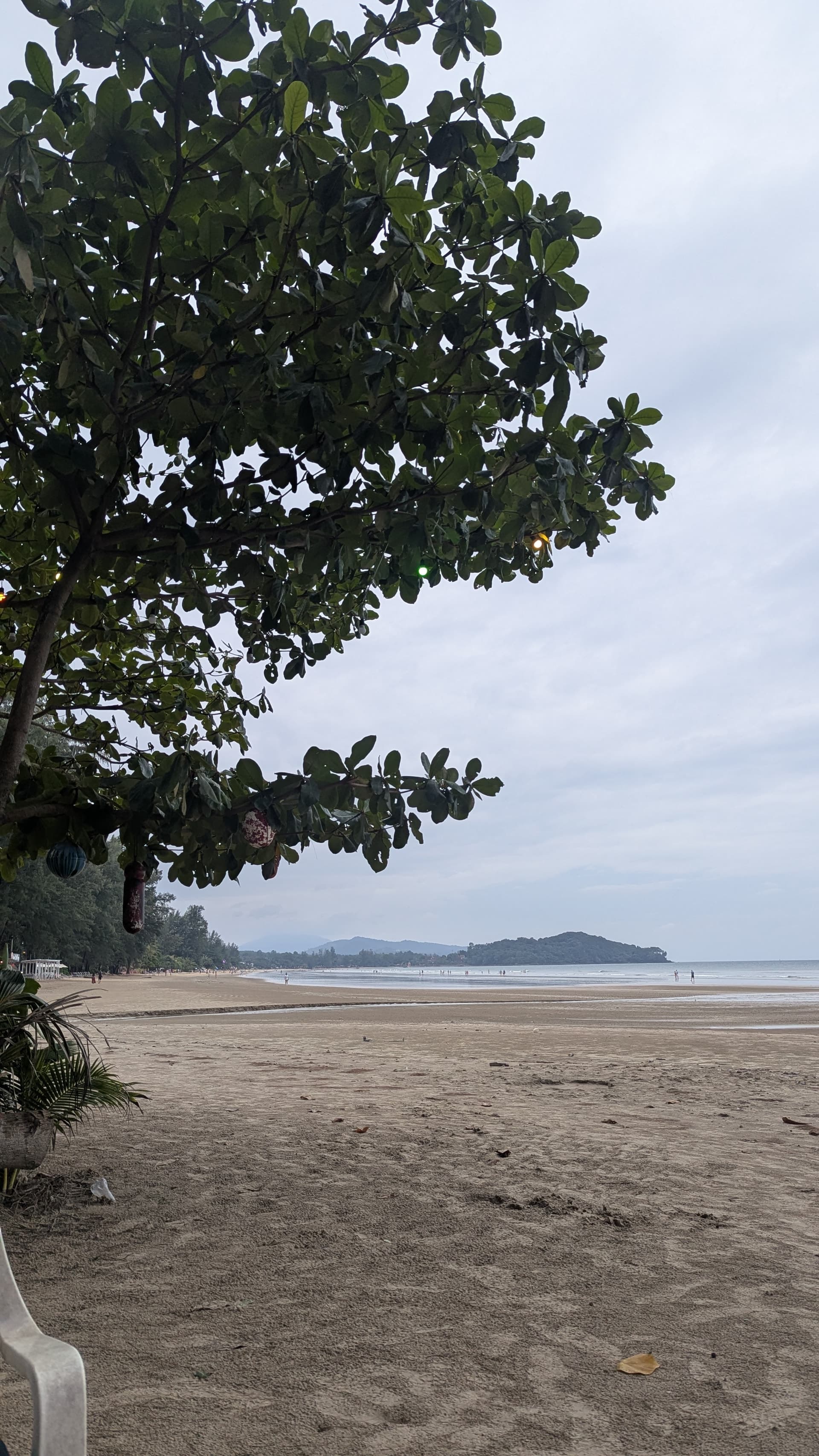 Google Pixel 7 — 7mm • ƒ/1.9 • 1/100 • ISO 83