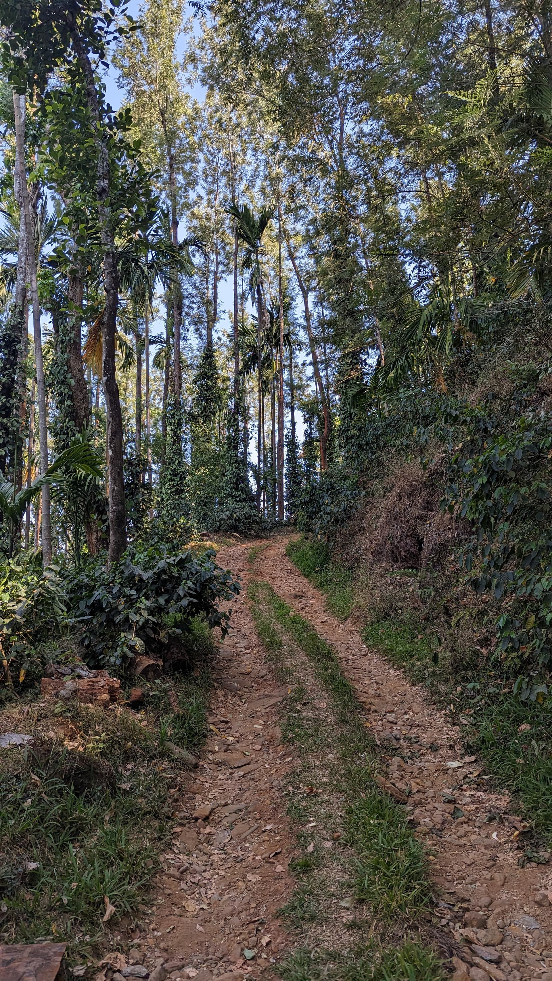 Google Pixel 7 — 7mm • ƒ/1.9 • 1/488 • ISO 48