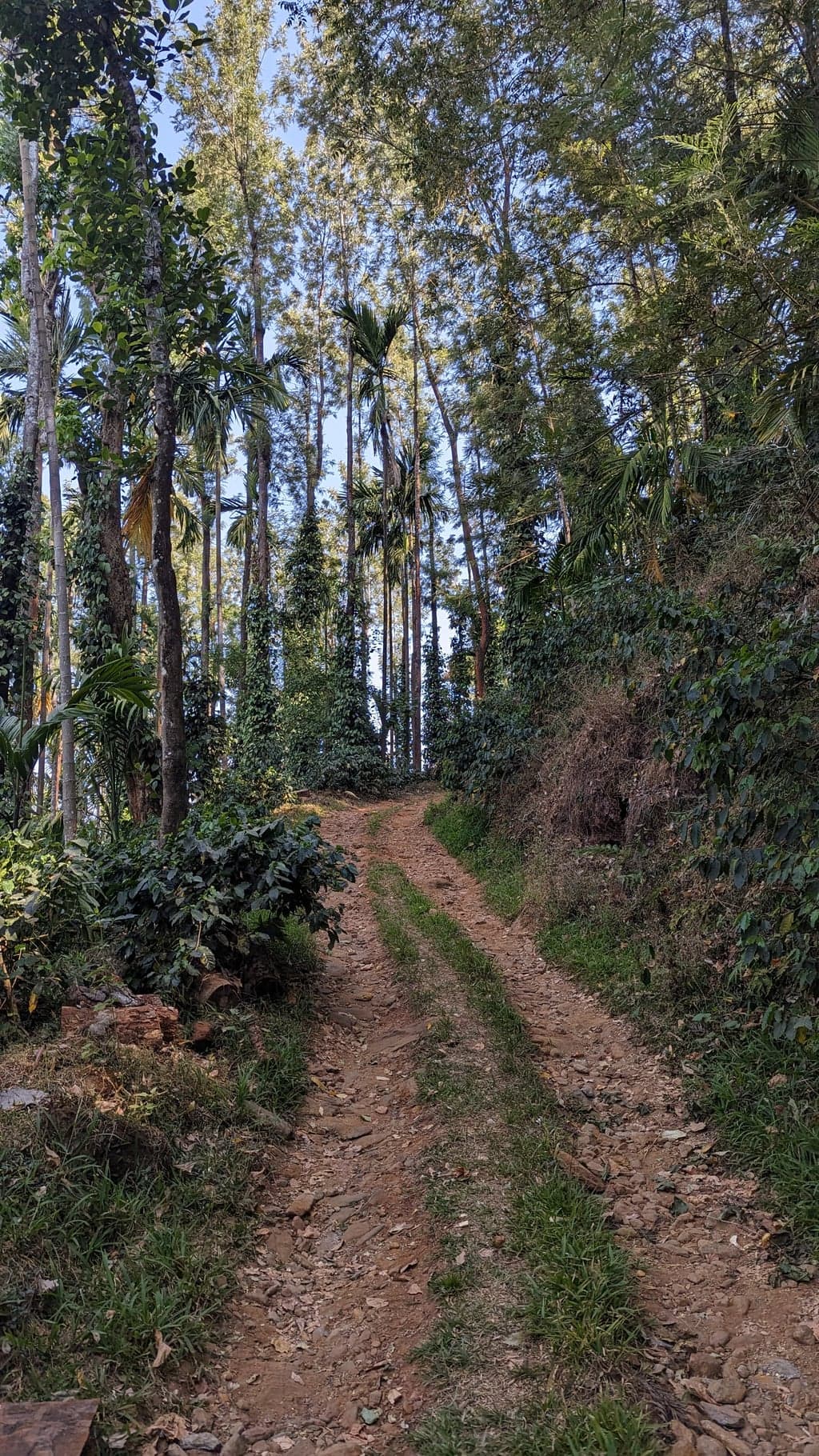 Google Pixel 7 — 7mm • ƒ/1.9 • 1/488 • ISO 48