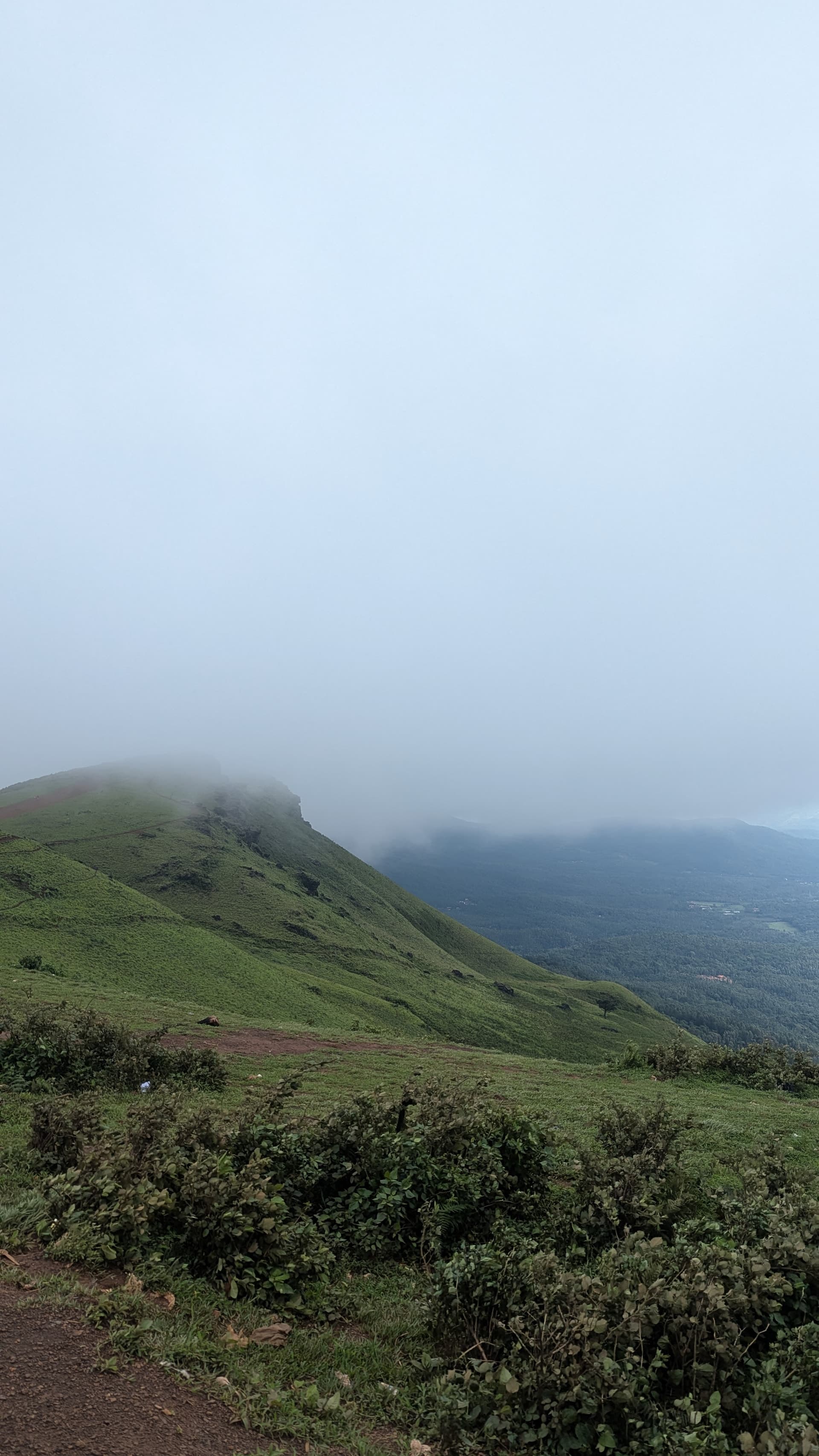 Google Pixel 7 — 7mm • ƒ/1.9 • 1/775 • ISO 73