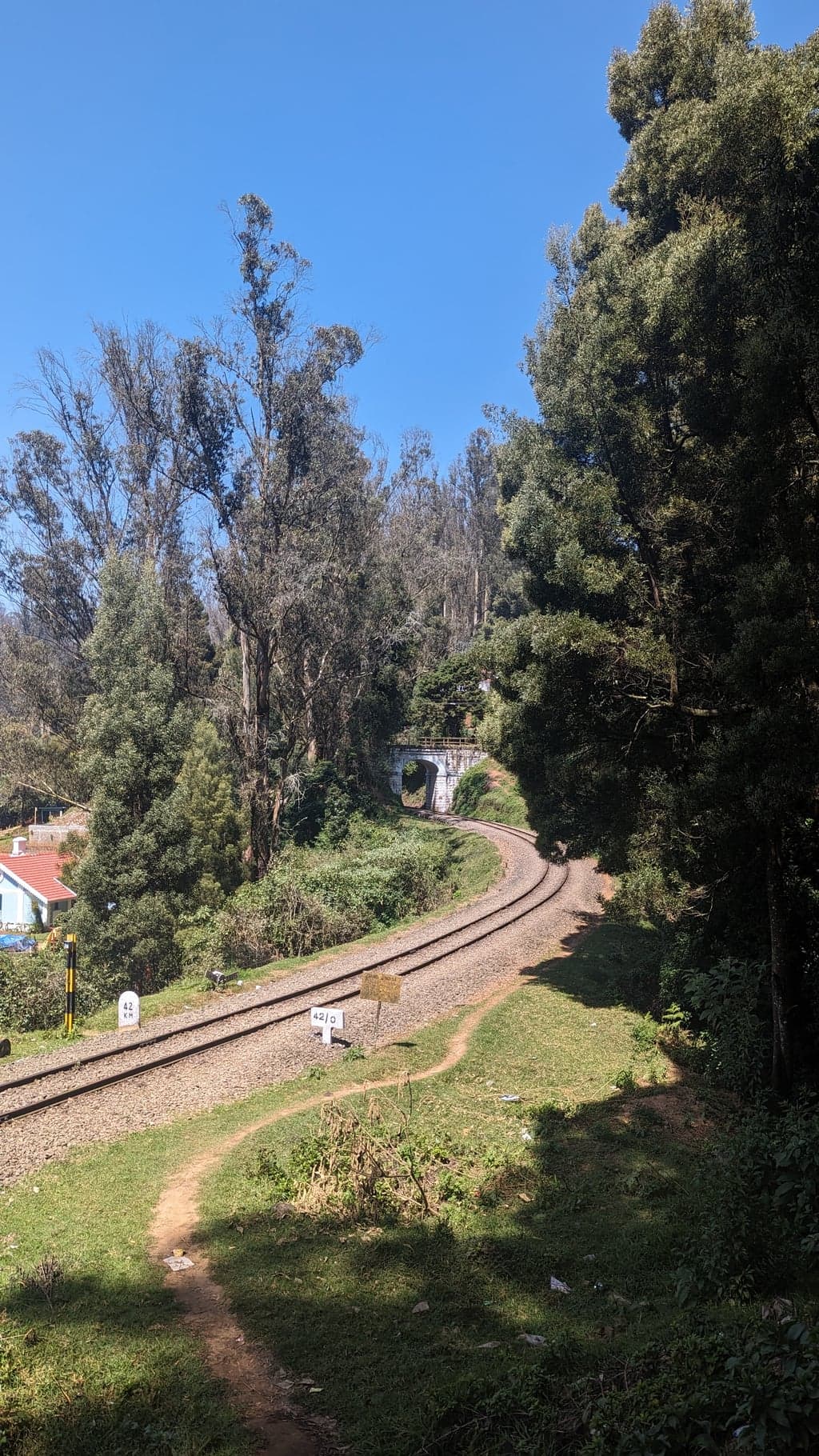 Google Pixel 7 — 7mm • ƒ/1.9 • 1/951 • ISO 47