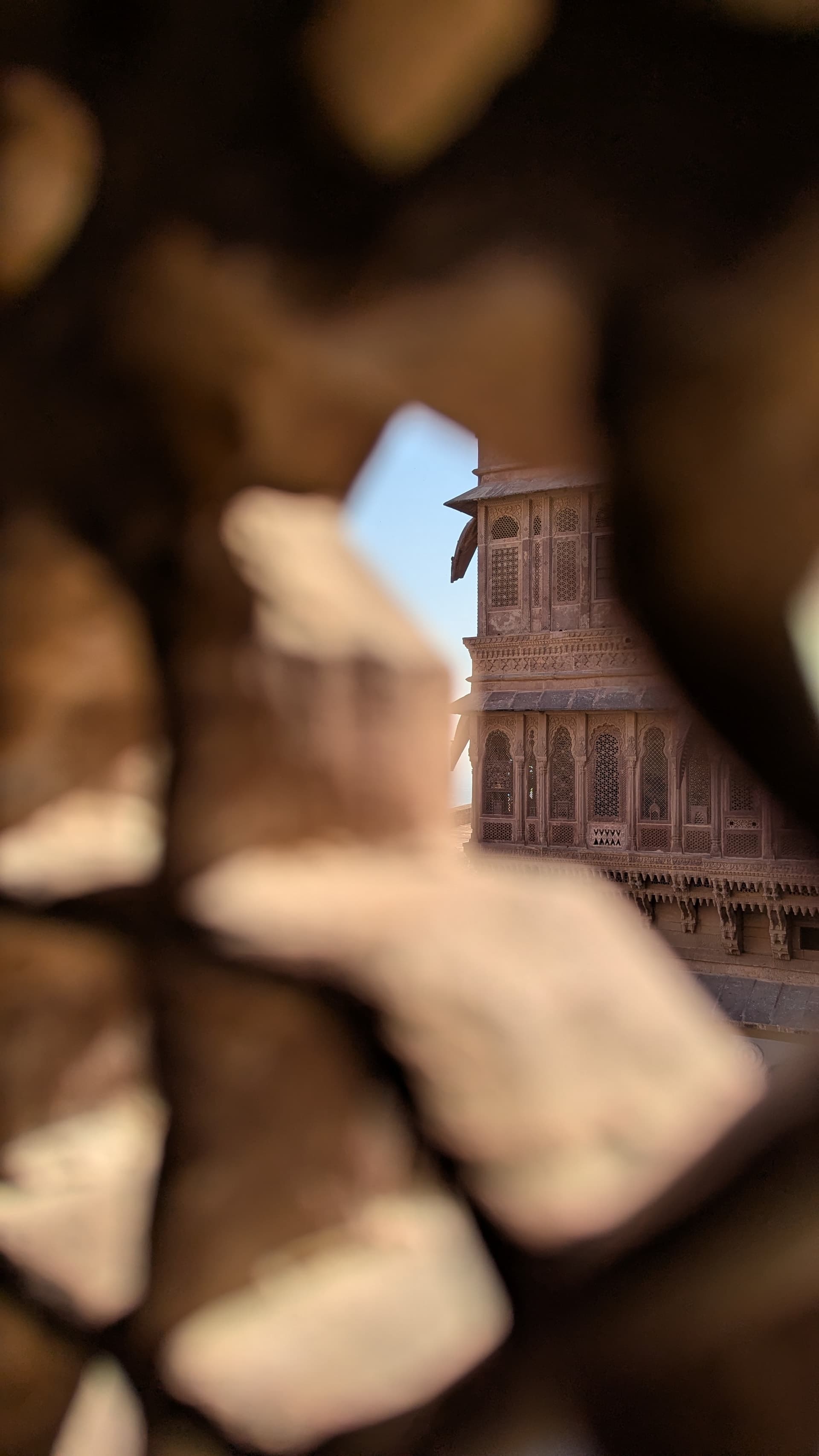 Google Pixel 7 — 7mm • ƒ/1.9 • 1/2309 • ISO 45