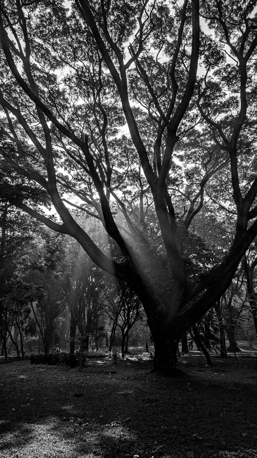 Google Pixel 7 — 7mm • ƒ/1.9 • 1/3906 • ISO 40