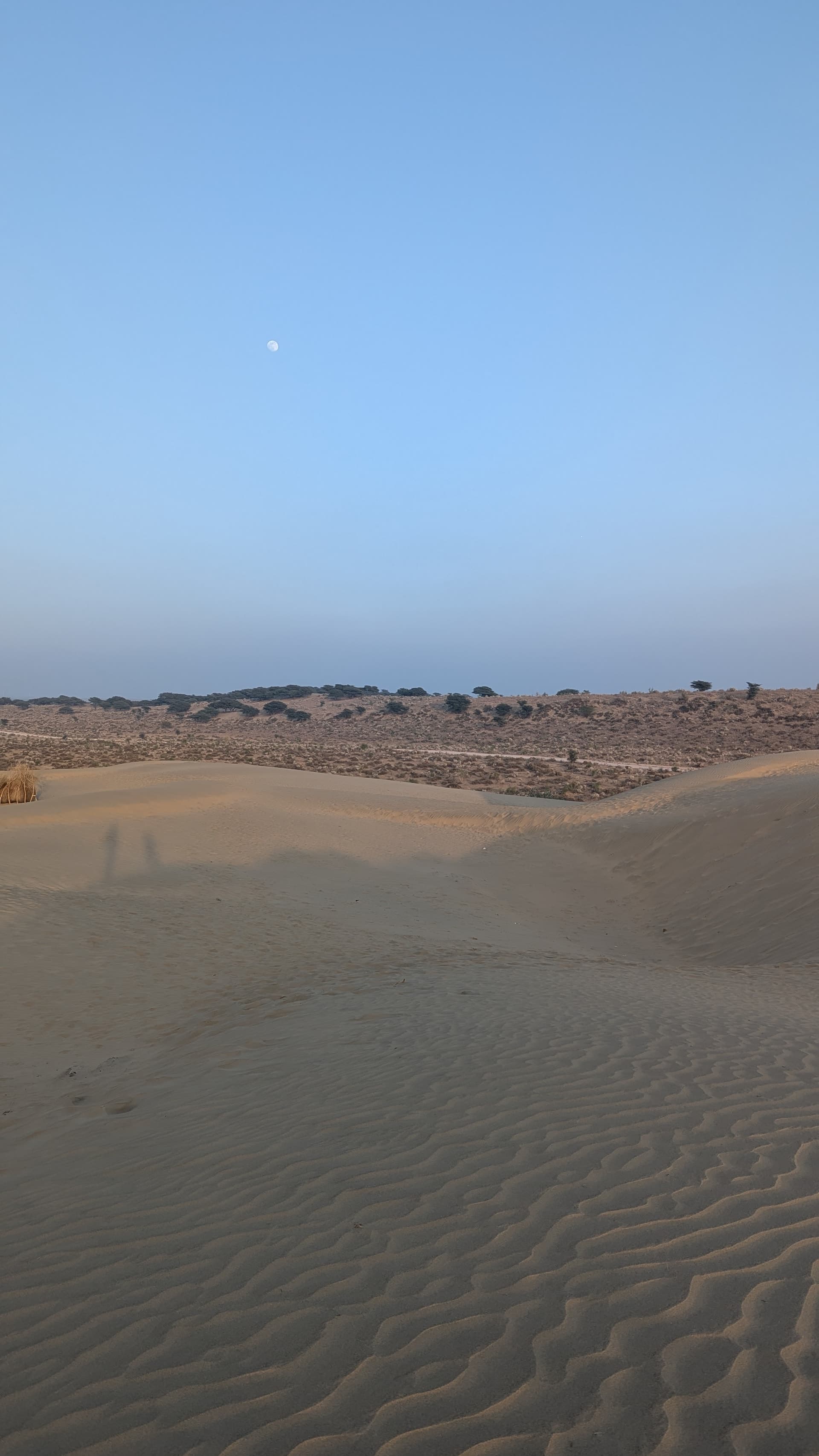 Google Pixel 7 — 7mm • ƒ/1.9 • 1/552 • ISO 37