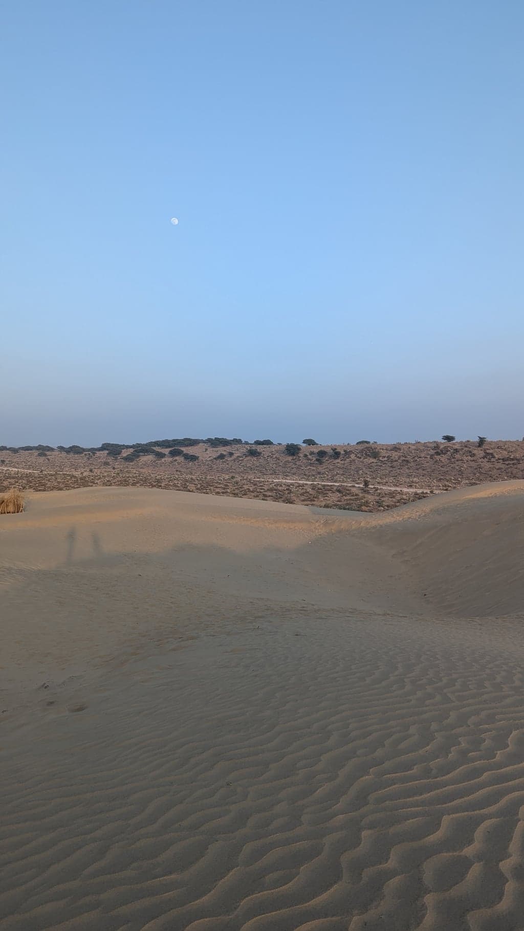 Google Pixel 7 — 7mm • ƒ/1.9 • 1/552 • ISO 37