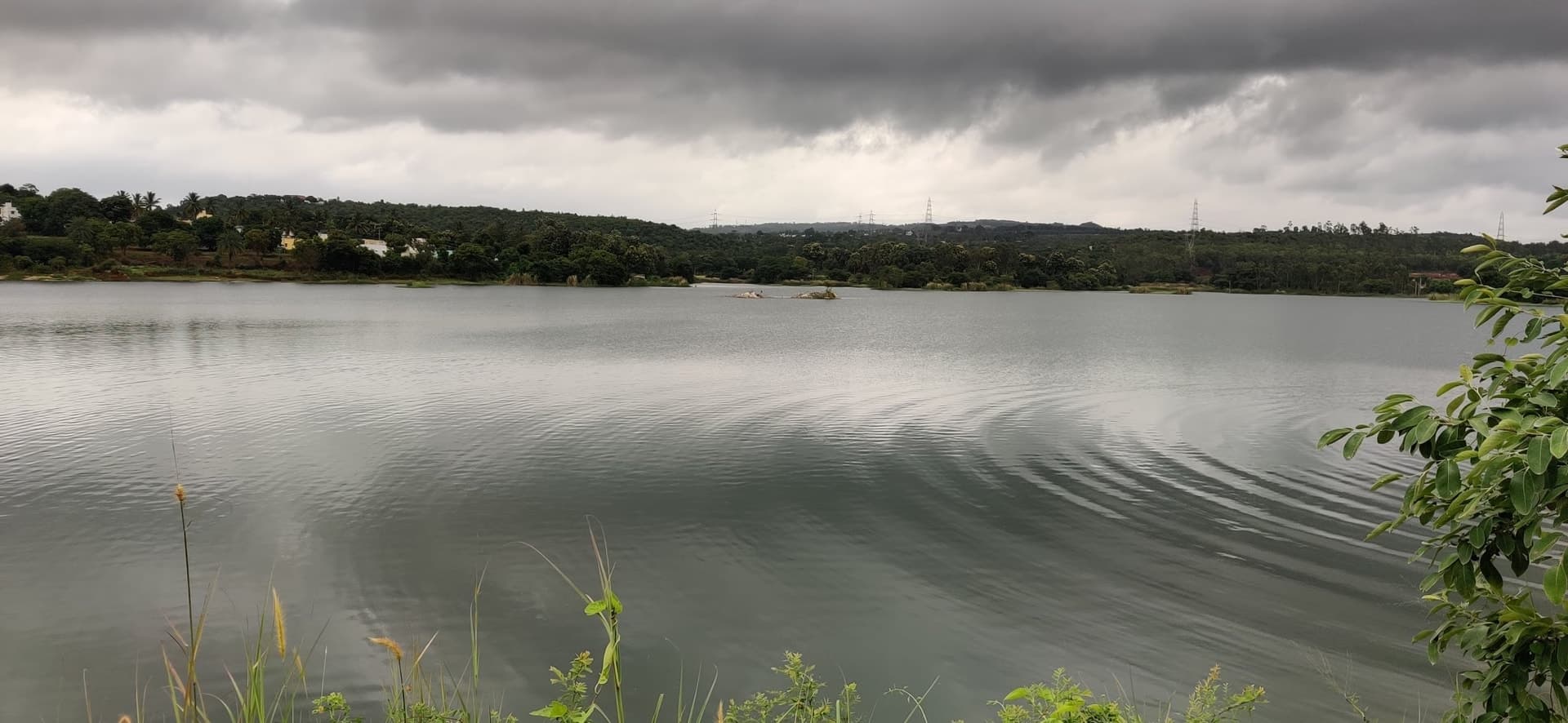 OnePlus GM1901 — 5mm • ƒ/1.8 • 1/1215 • ISO 125