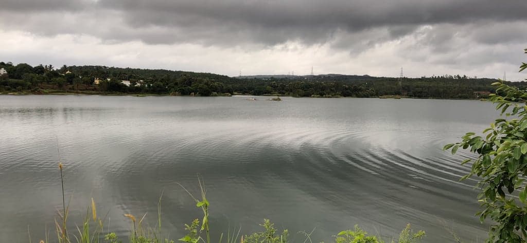 OnePlus GM1901 — 5mm • ƒ/1.8 • 1/1215 • ISO 125