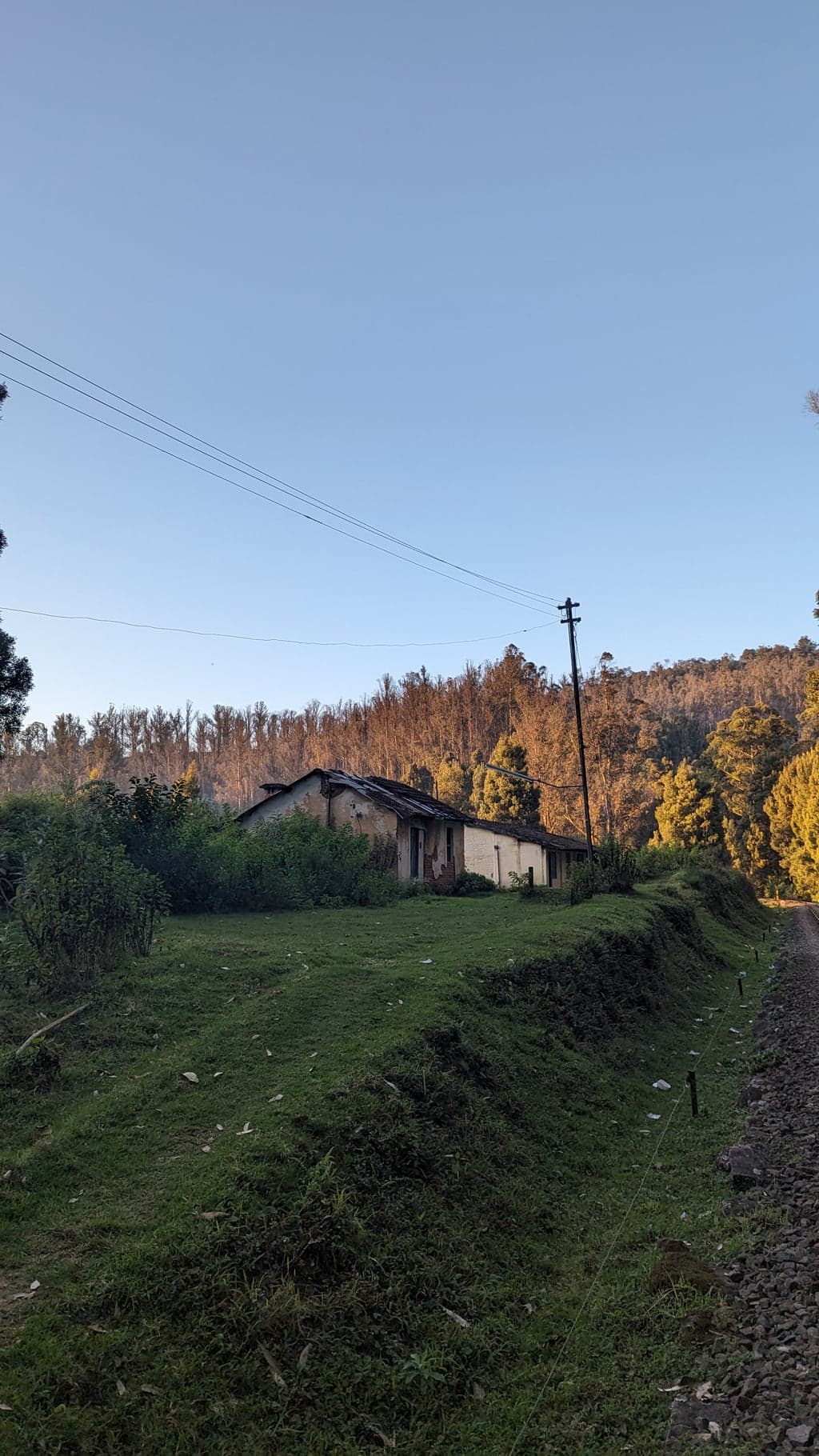 Google Pixel 7 — 7mm • ƒ/1.9 • 1/279 • ISO 47