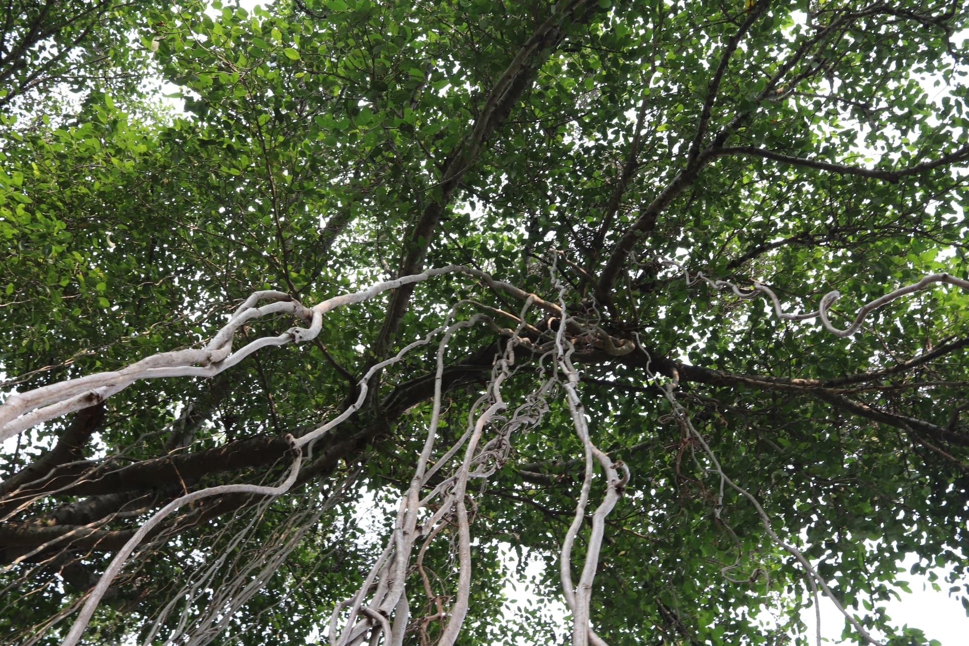 Canon Canon EOS 77D β 24mm β’ Ζ/9.0 β’ 1/40 β’ ISO 200