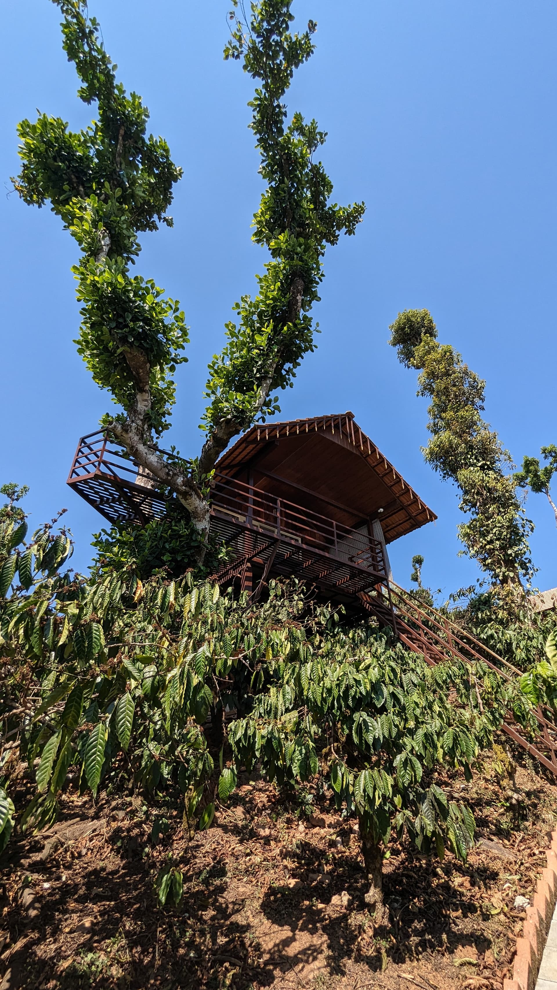 Google Pixel 7 — 2mm • ƒ/2.2 • 1/729 • ISO 44