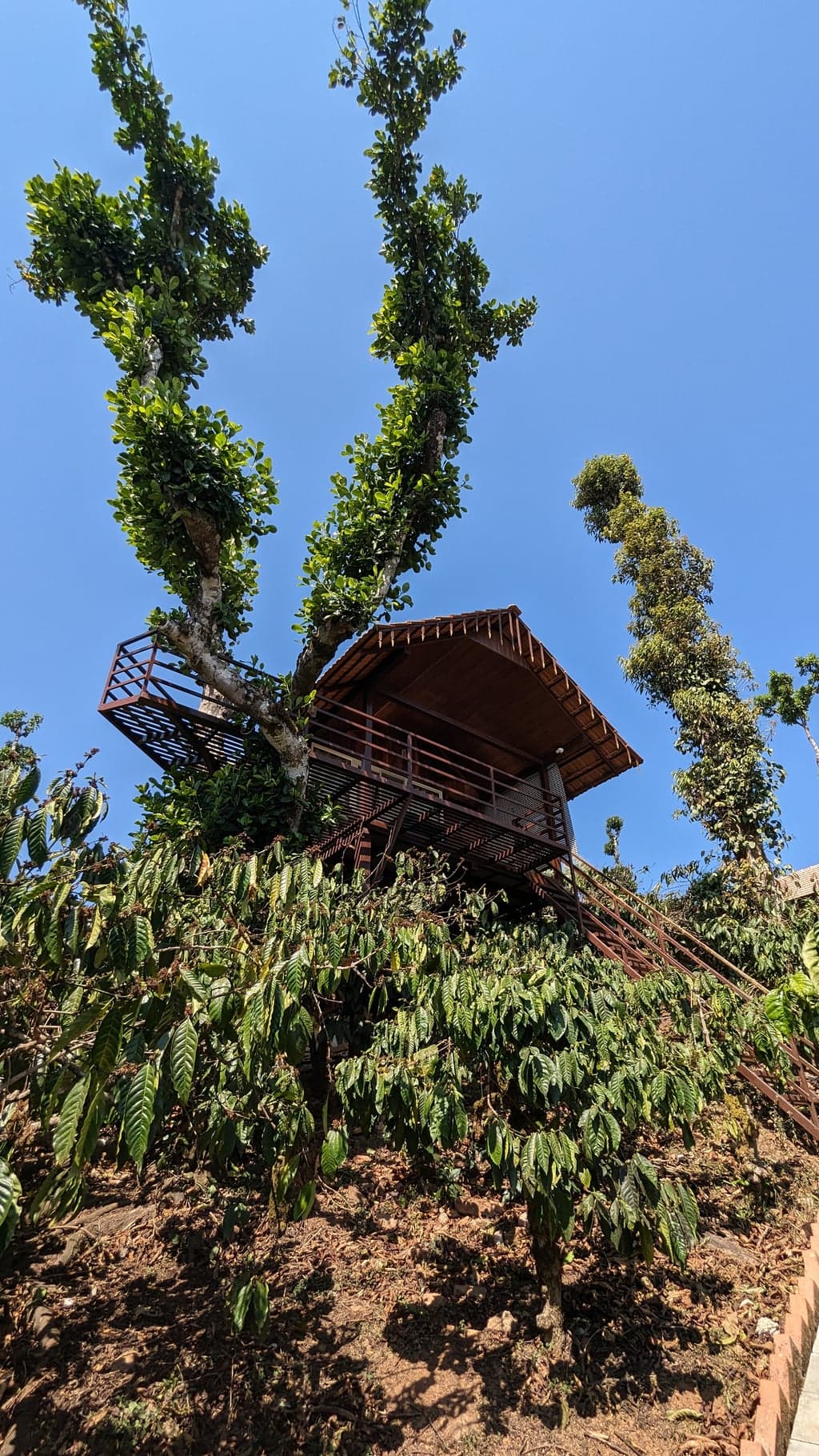 Google Pixel 7 — 2mm • ƒ/2.2 • 1/729 • ISO 44