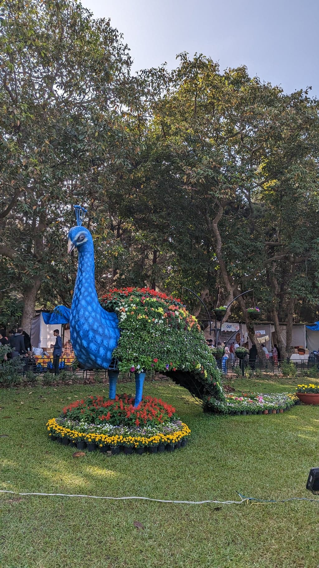 Google Pixel 7 — 7mm • ƒ/1.9 • 1/2020 • ISO 40