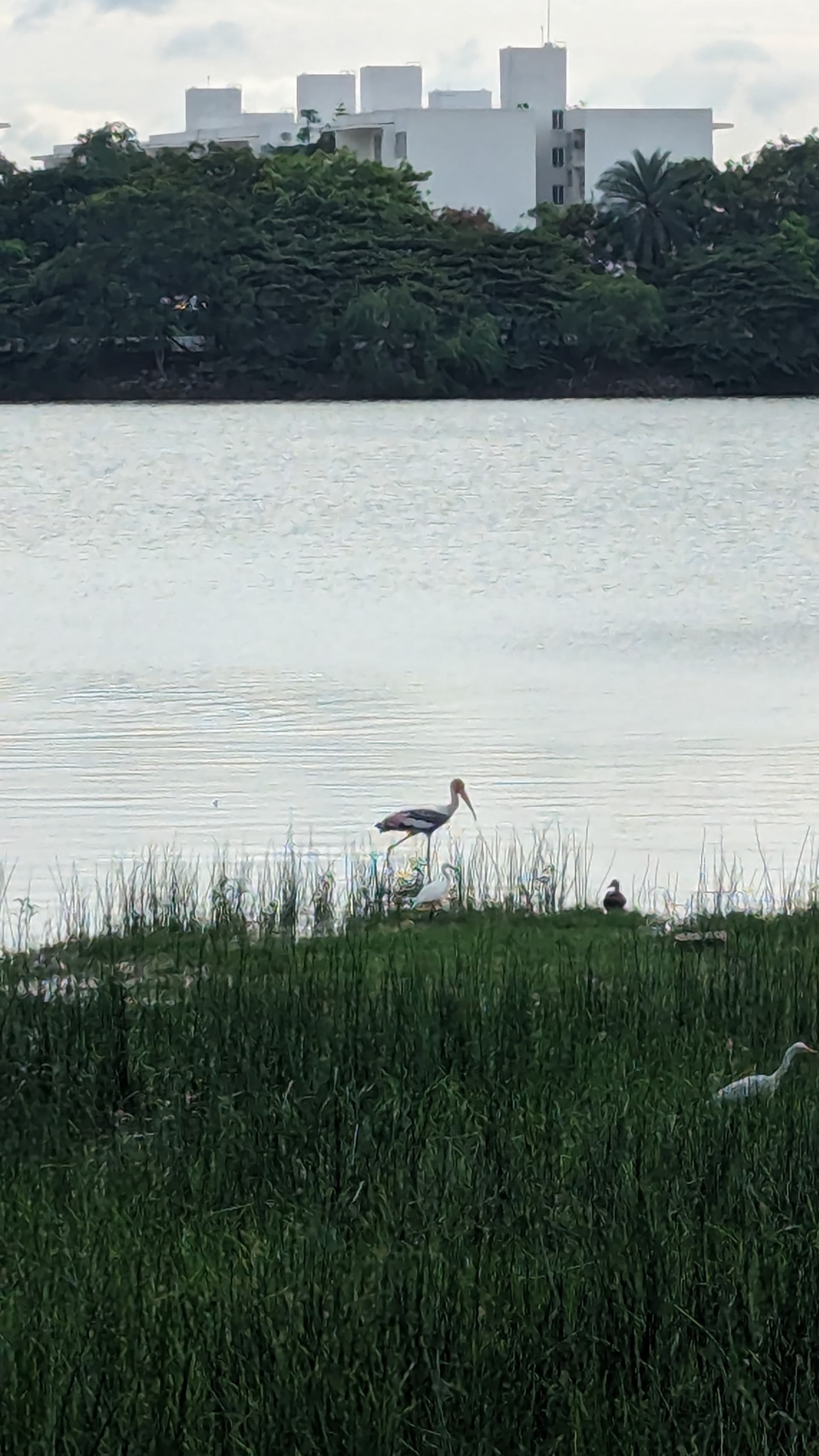 Google Pixel 7 — 7mm • ƒ/1.9 • 1/1808 • ISO 66