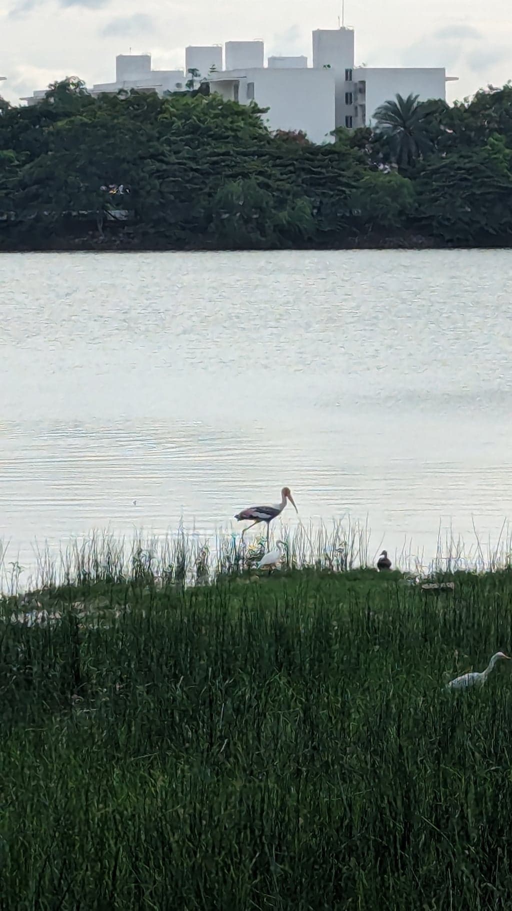 Google Pixel 7 — 7mm • ƒ/1.9 • 1/1808 • ISO 66