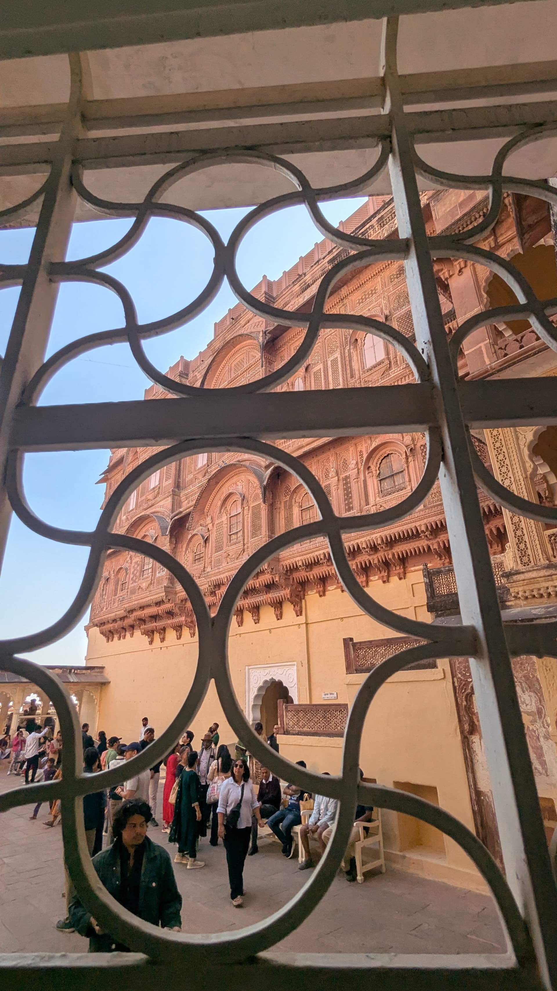 Google Pixel 7 — 2mm • ƒ/2.2 • 1/1068 • ISO 44