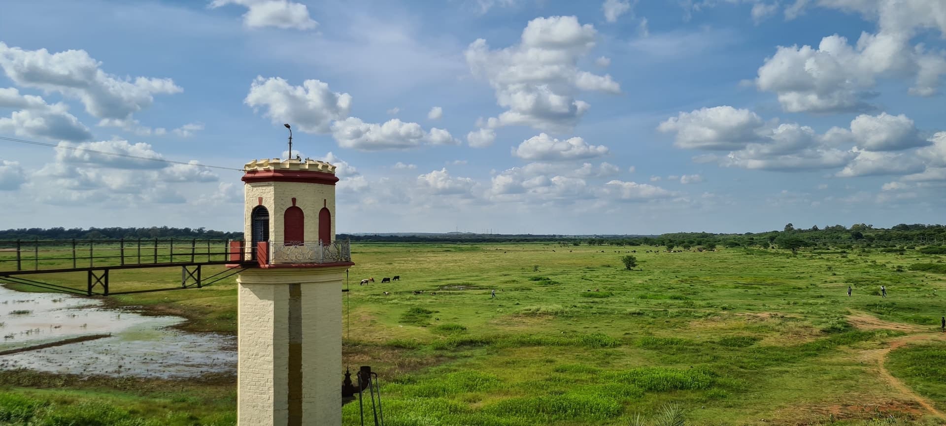 Hesaraghatta Lake and surrounding Avalahalli Forest - quick getaway from Bangalore