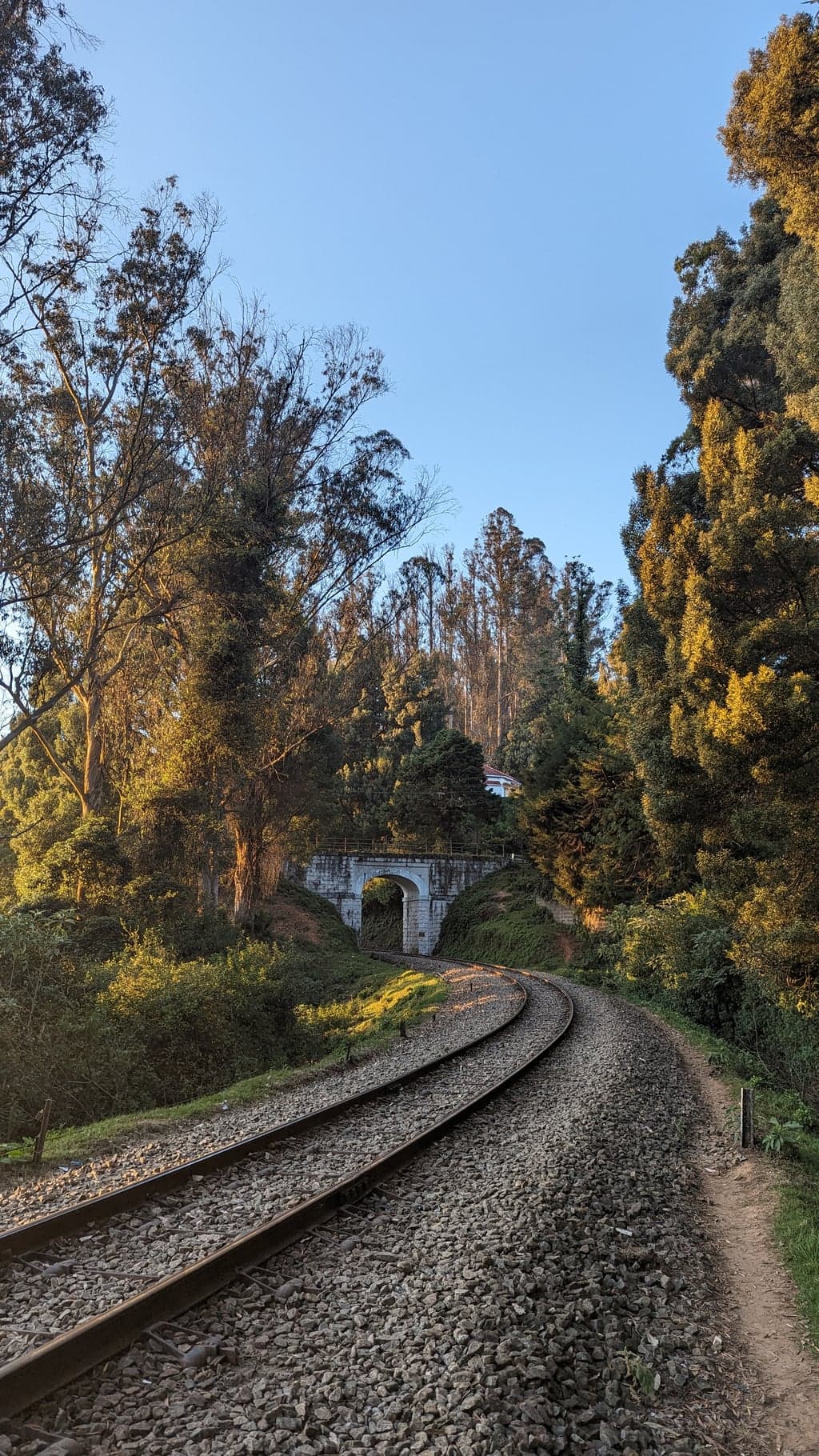 Google Pixel 7 — 7mm • ƒ/1.9 • 1/177 • ISO 46