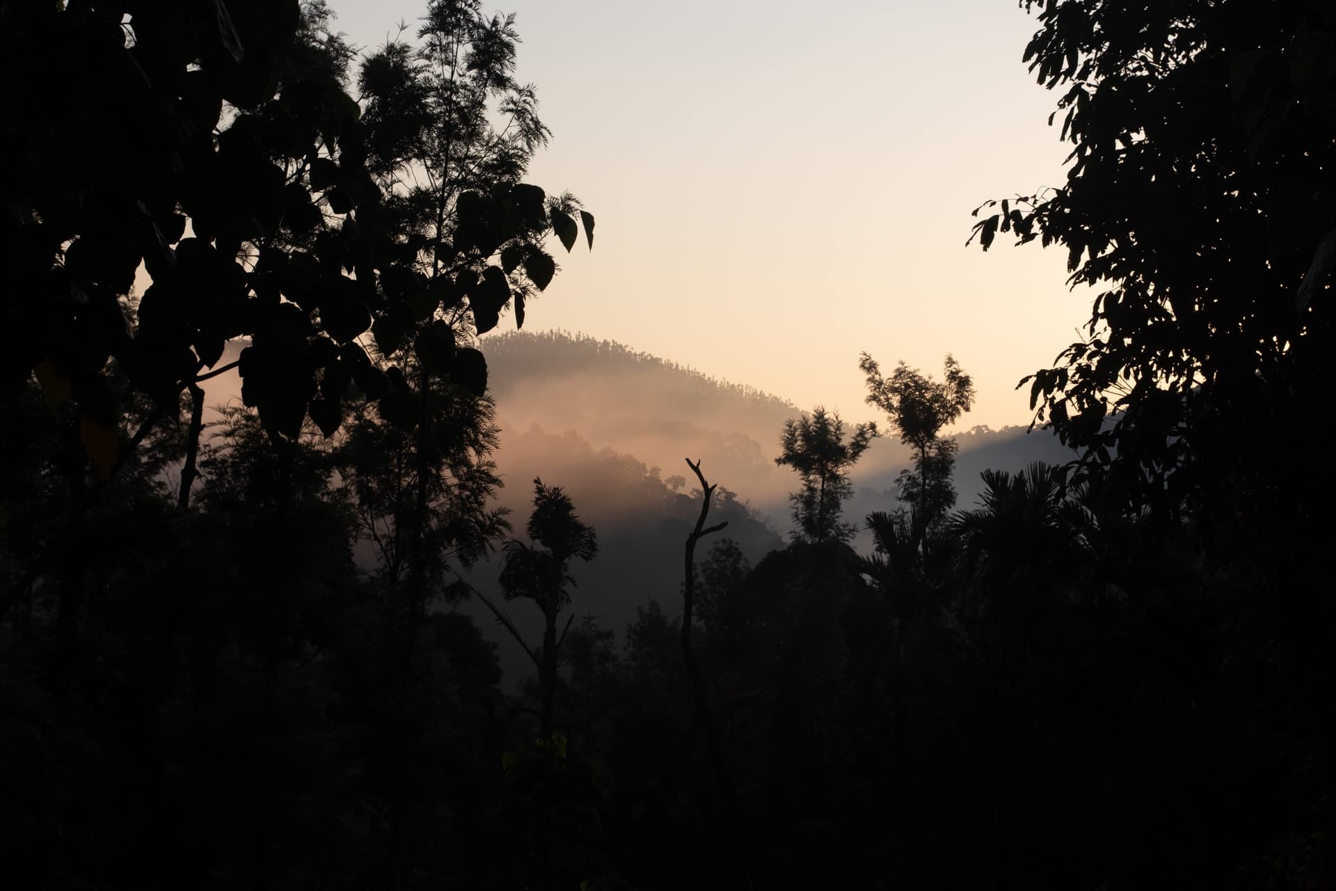 Canon Canon EOS 77D — 39mm • ƒ/9.0 • 1/160 • ISO 100