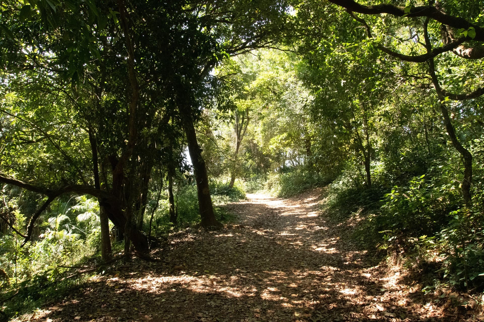 Canon Canon EOS 77D — 17mm • ƒ/10.0 • 1/320 • ISO 3200