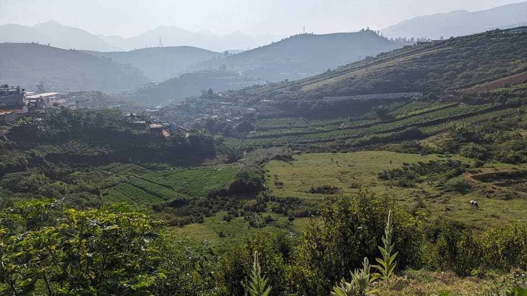 Google Pixel 7 — 7mm • ƒ/1.9 • 1/7519 • ISO 49