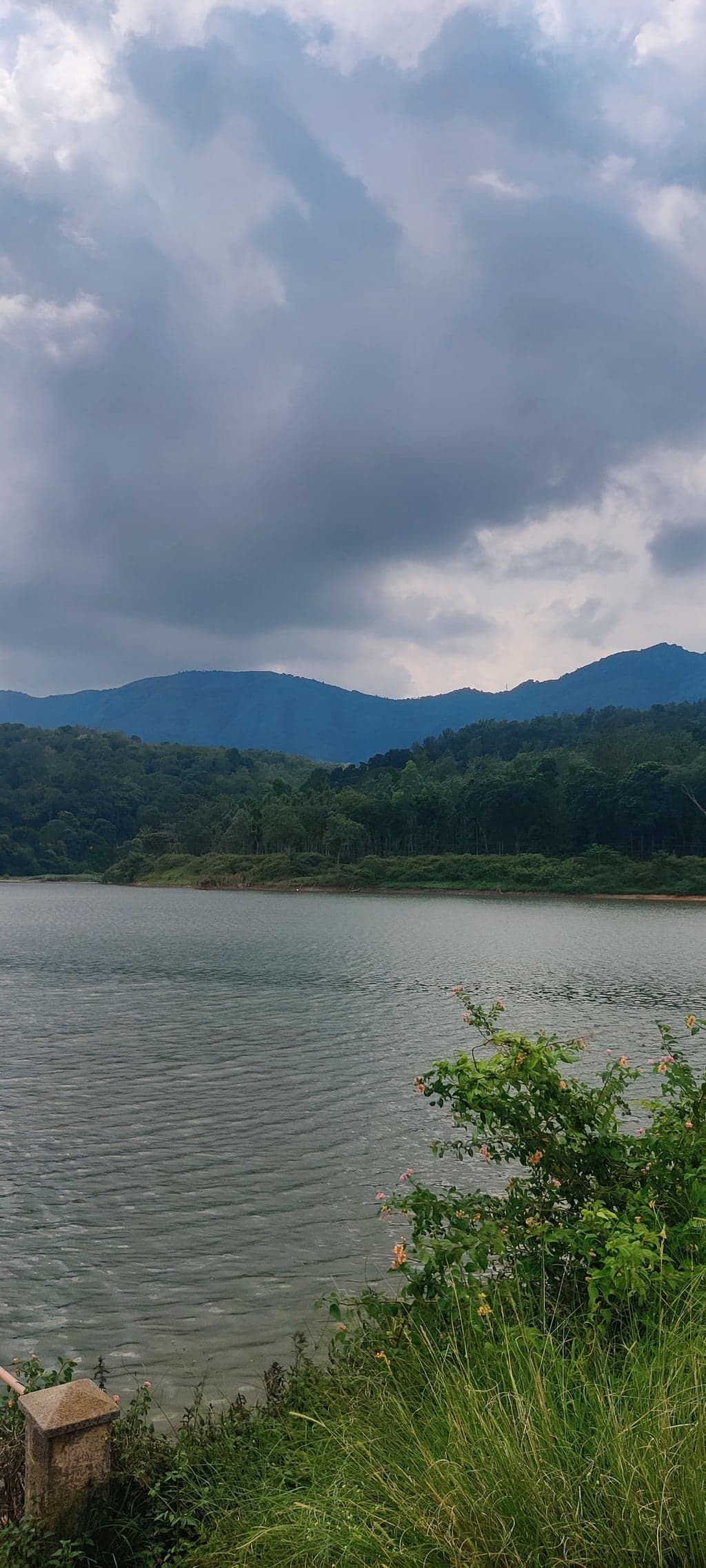 OnePlus IN2011 — 5mm • ƒ/1.8 • 1/4179 • ISO 100