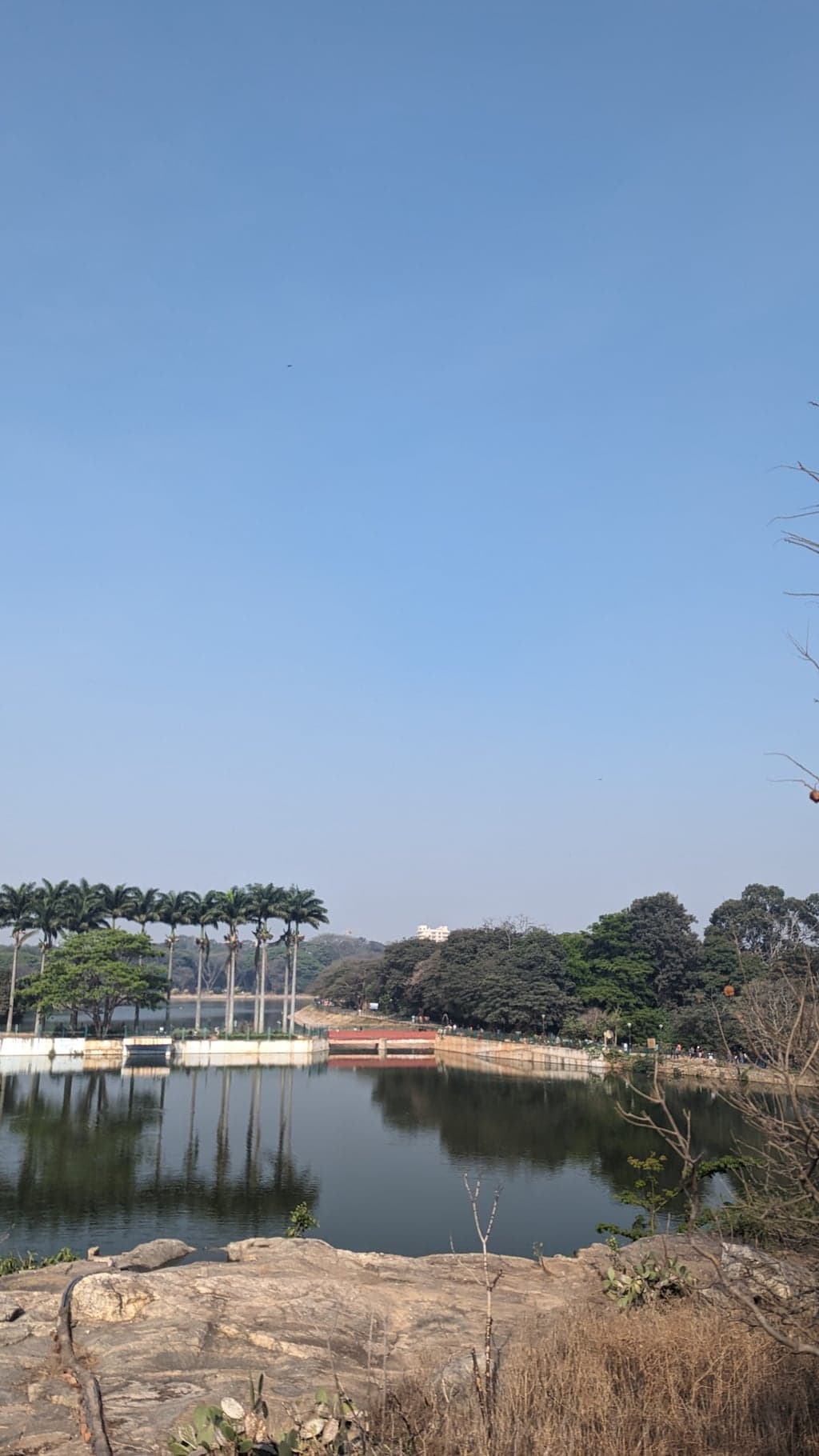 Google Pixel 7 — 7mm • ƒ/1.9 • 1/1855 • ISO 60