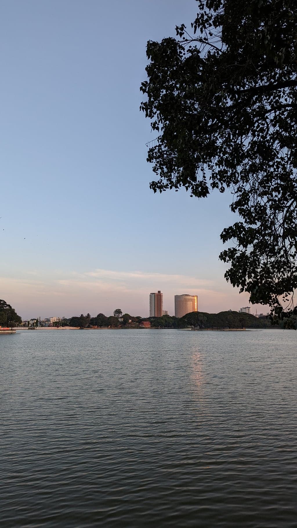 Google Pixel 7 — 7mm • ƒ/1.9 • 1/422 • ISO 37