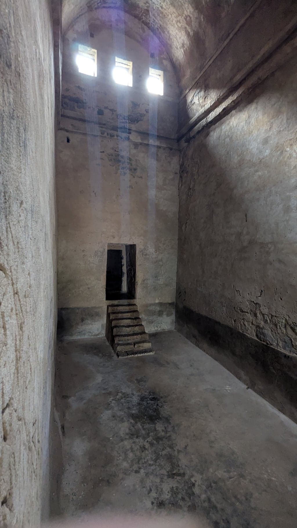 Google Pixel 7 β 2mm β’ Ζ/2.2 β’ 1/28 β’ ISO 319