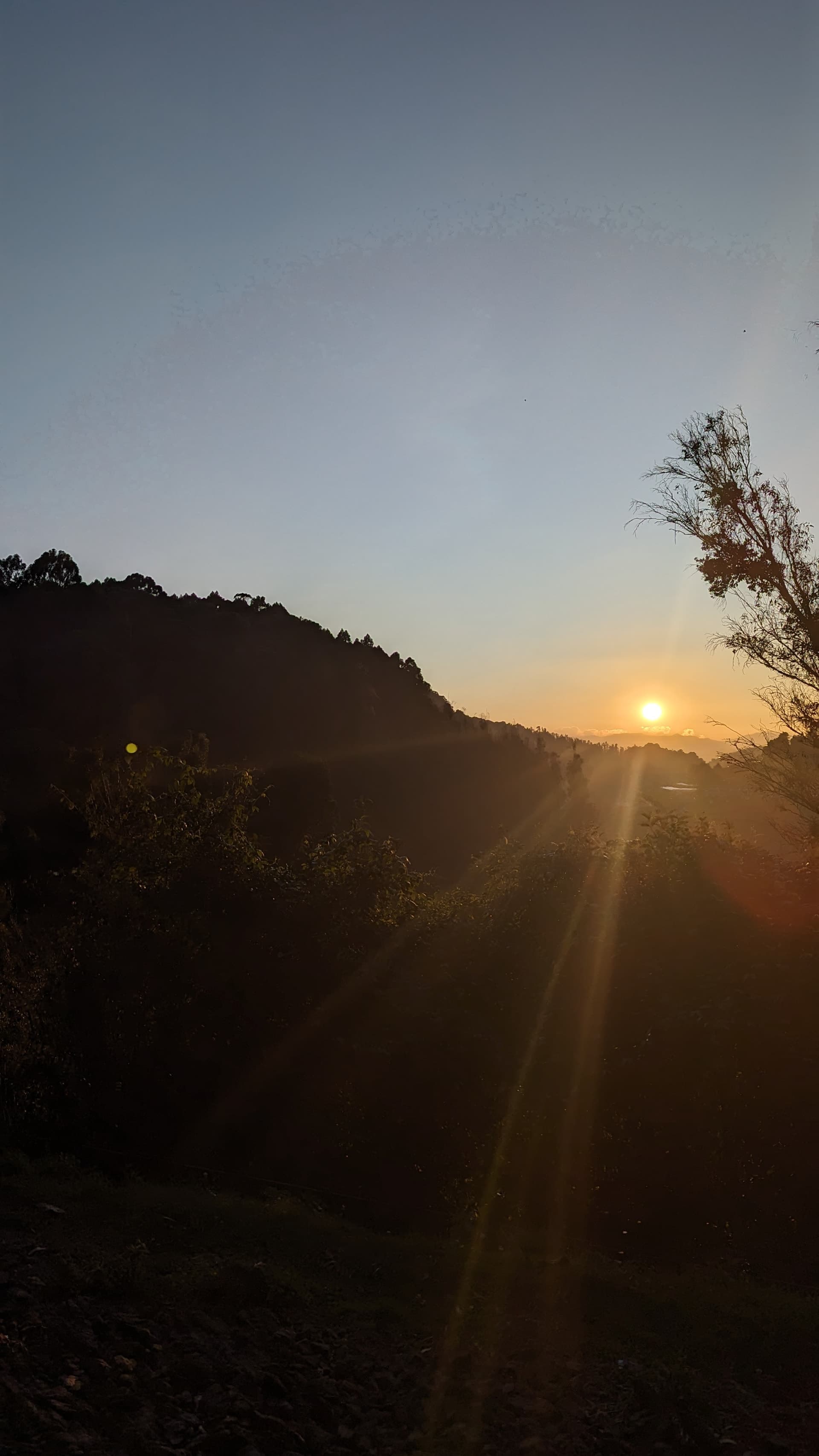 Google Pixel 7 — 7mm • ƒ/1.9 • 1/12500 • ISO 40