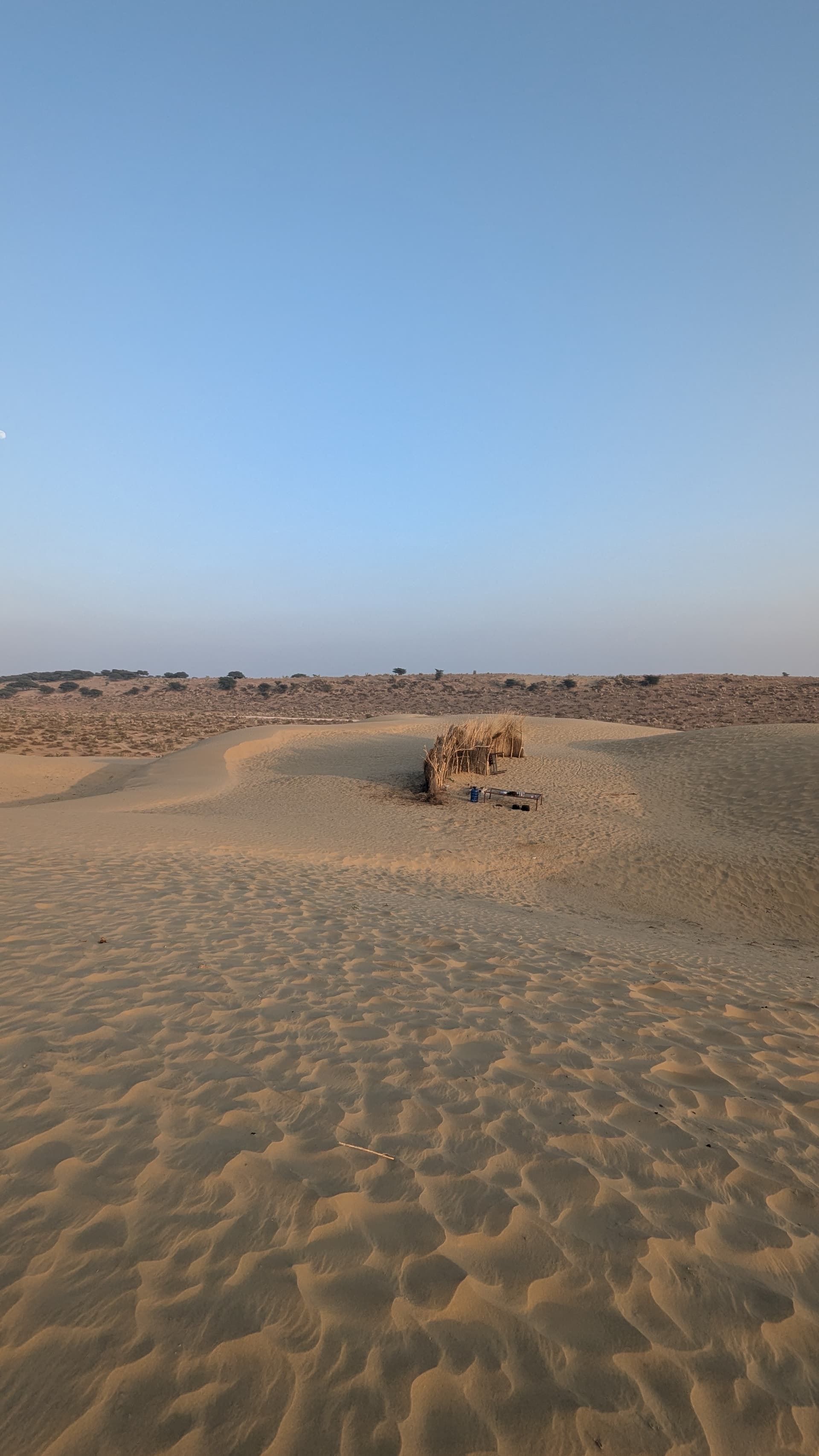 Google Pixel 7 — 2mm • ƒ/2.2 • 1/497 • ISO 43