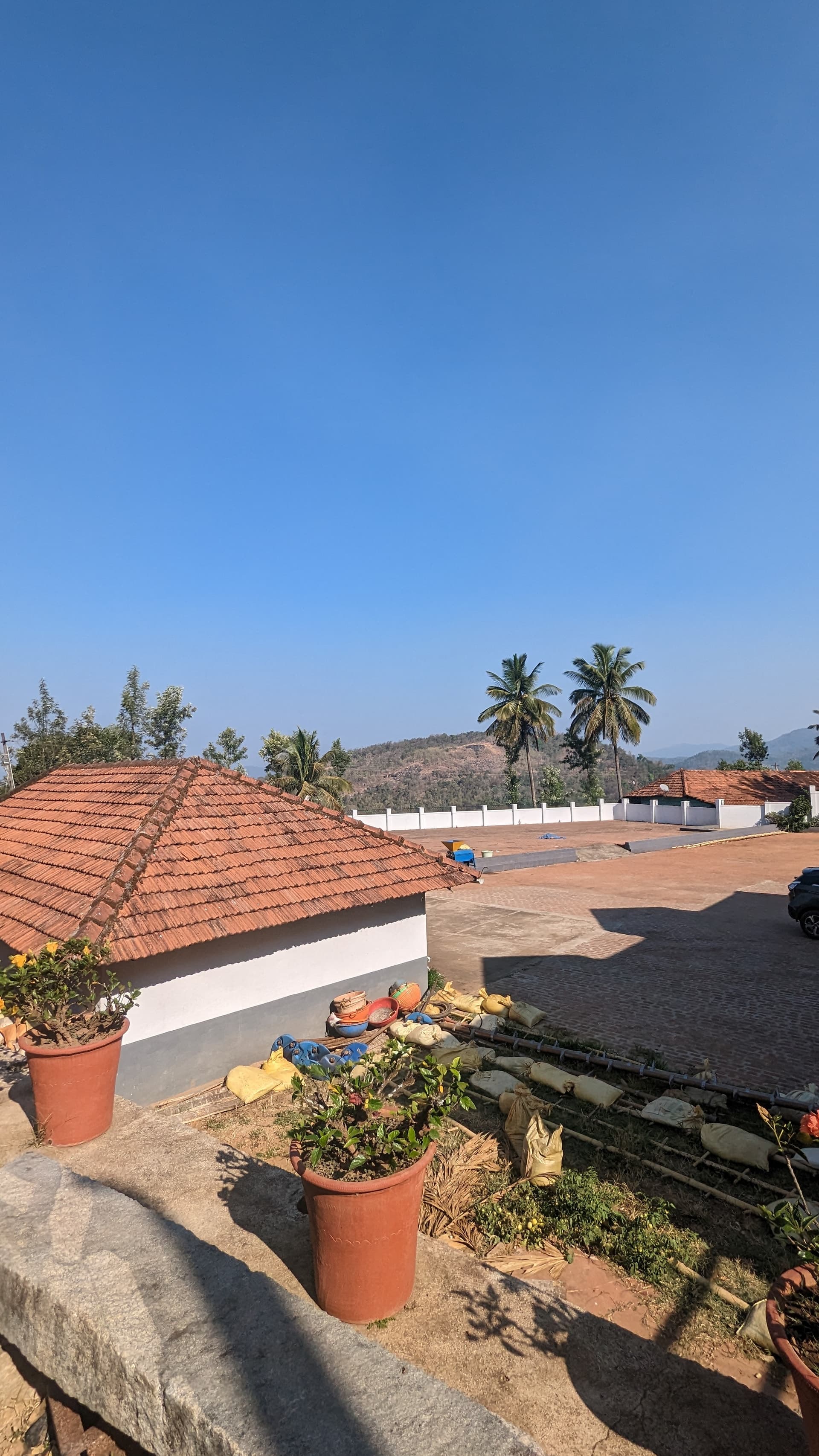 Google Pixel 7 — 2mm • ƒ/2.2 • 1/2457 • ISO 49