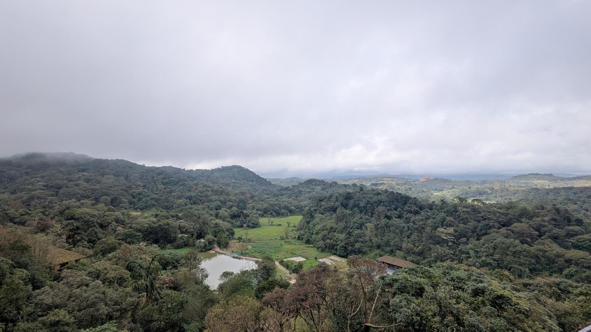 Bangalore to Madikeri: The Ultimate 3-Day Coorg Road Trip Itinerary