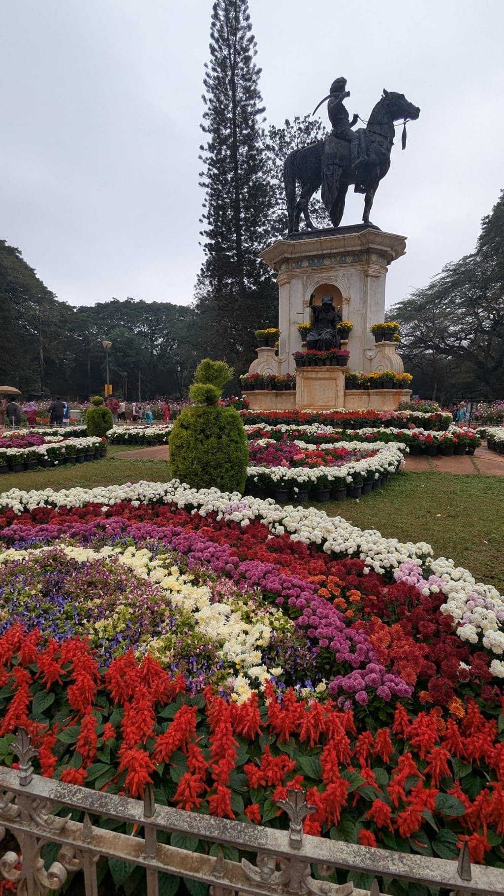 Google Pixel 7 — 2mm • ƒ/2.2 • 1/743 • ISO 54