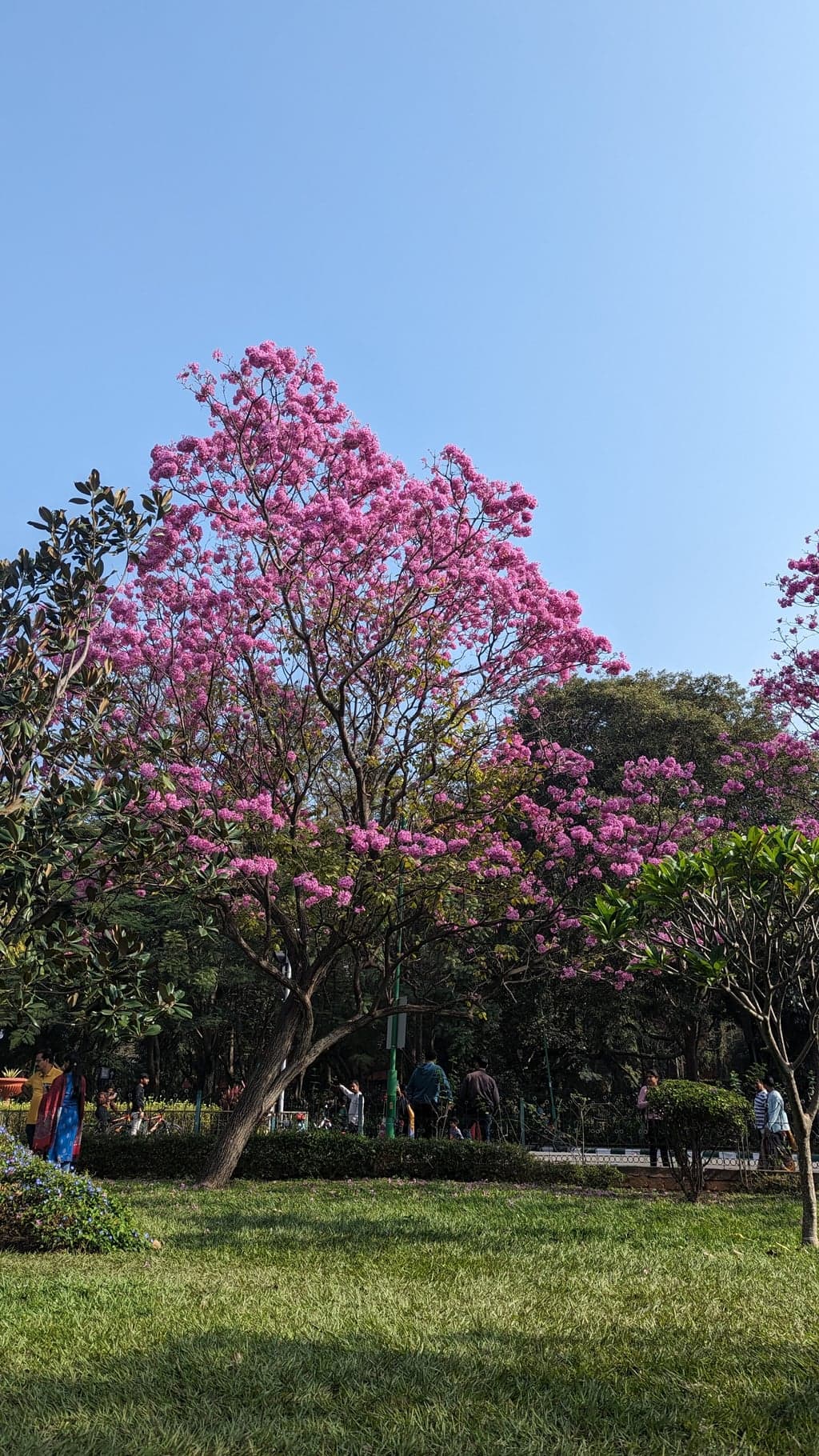 Google Pixel 7 — 7mm • ƒ/1.9 • 1/1230 • ISO 48