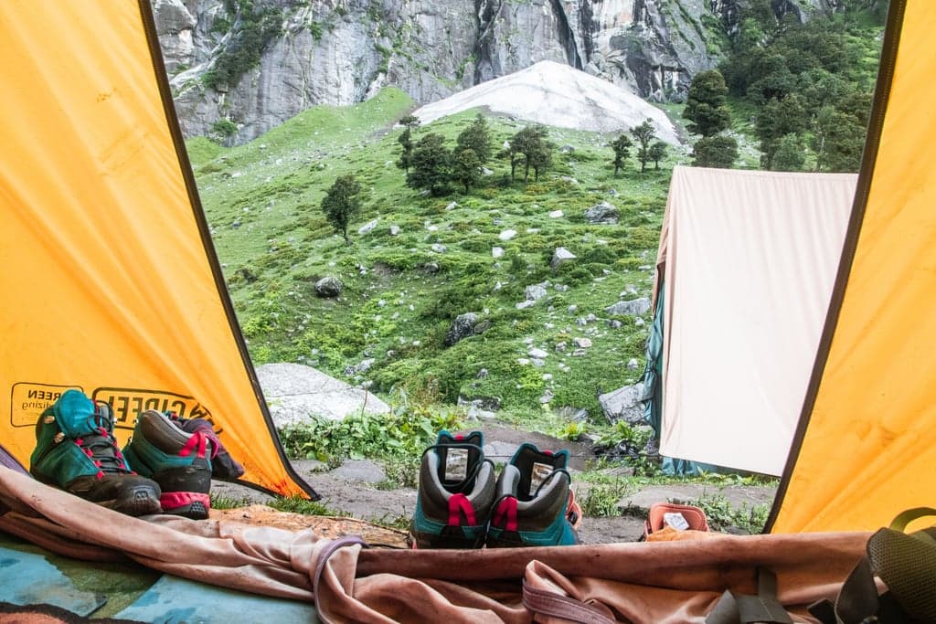 The Best Seat in the House