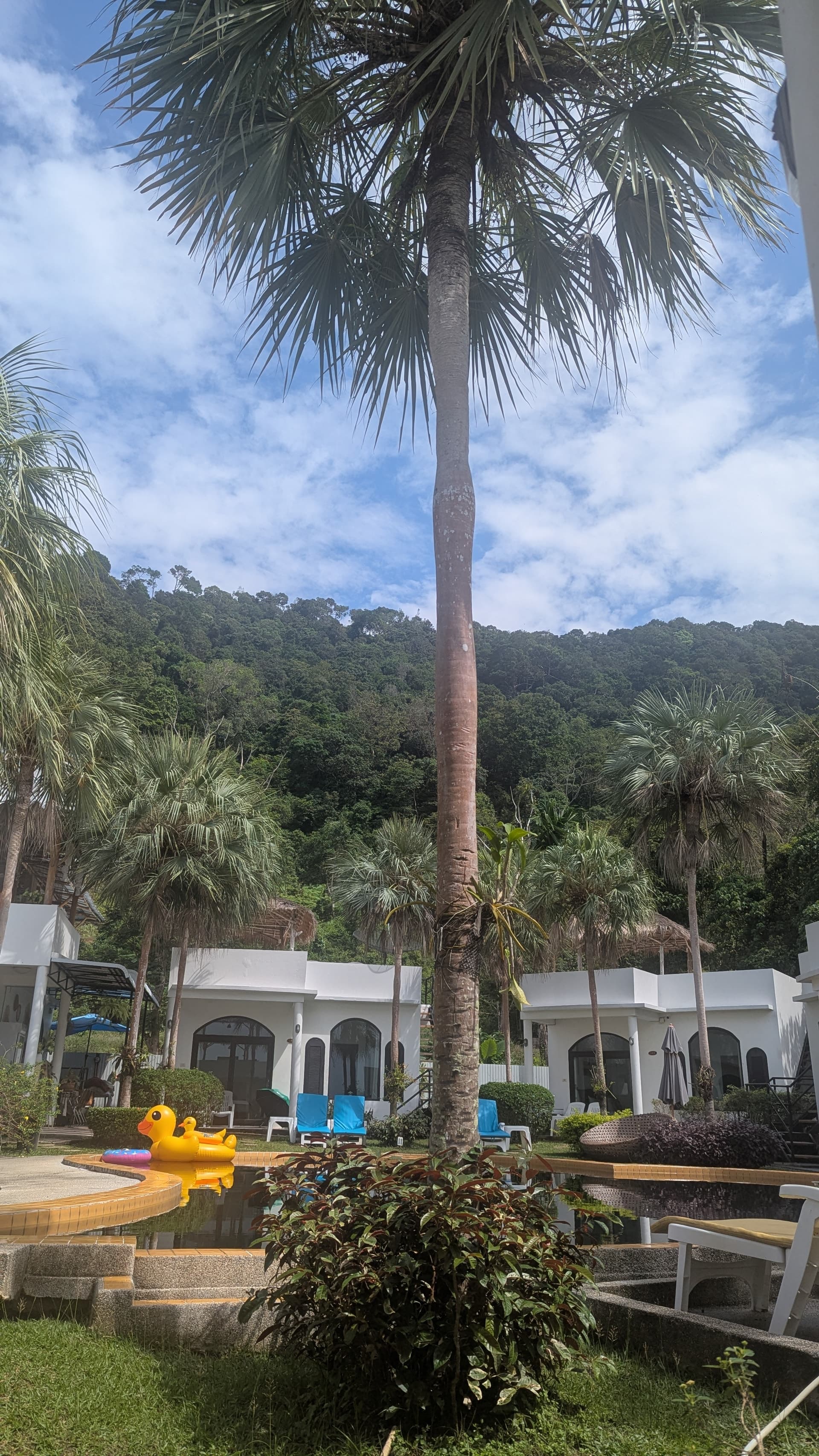 Google Pixel 7 — 7mm • ƒ/1.9 • 1/2571 • ISO 49