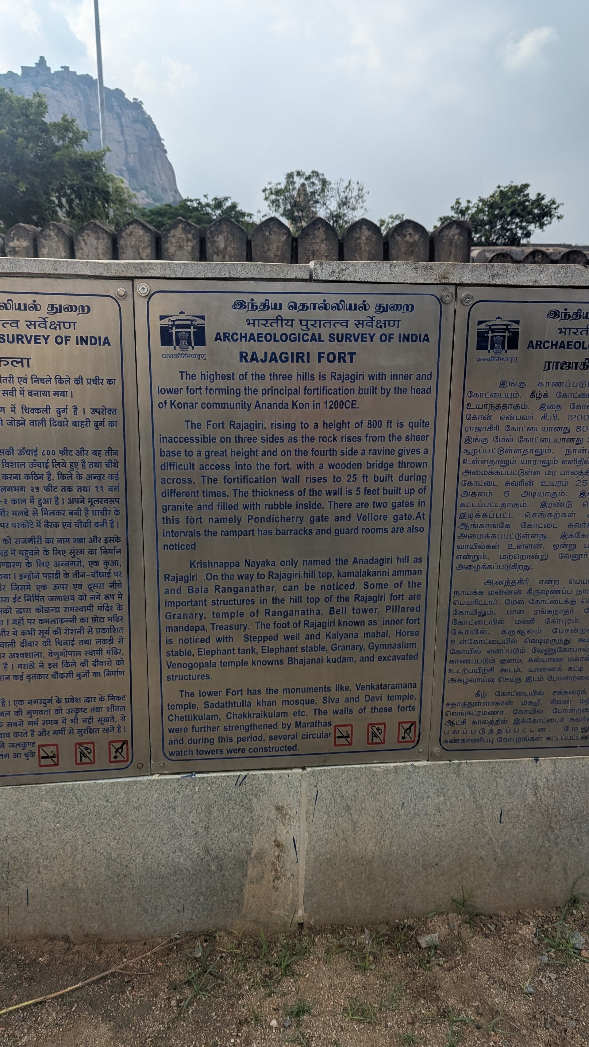 Google Pixel 7 β 7mm β’ Ζ/1.9 β’ 1/2762 β’ ISO 47